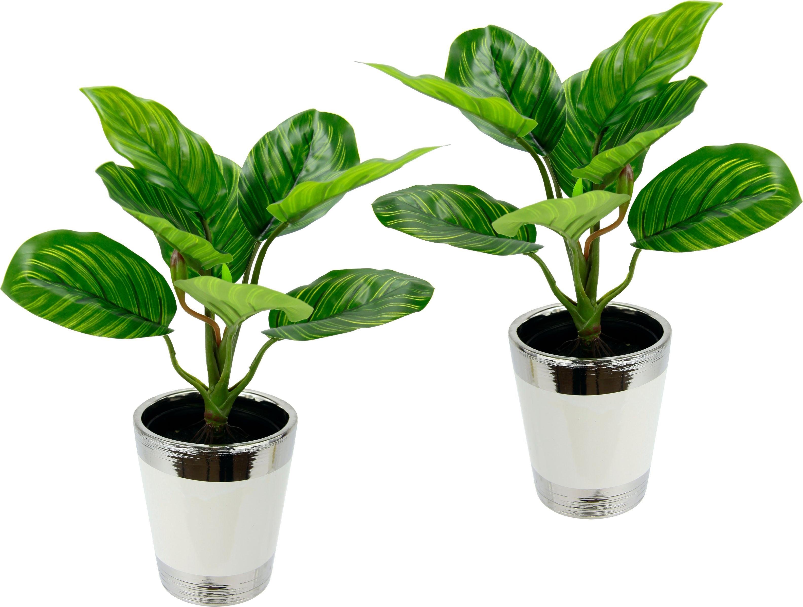 I.GE.A. Kunstplant Maranthusplant in pot (set, 2 stuks)