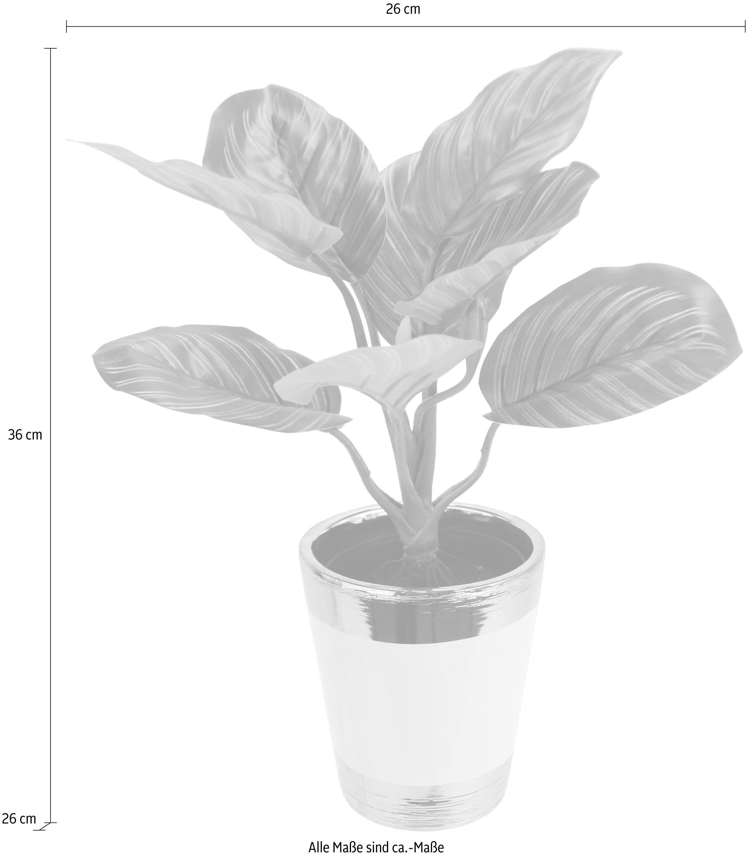 I.GE.A. Kunstplant Maranthusplant in pot (set, 2 stuks)