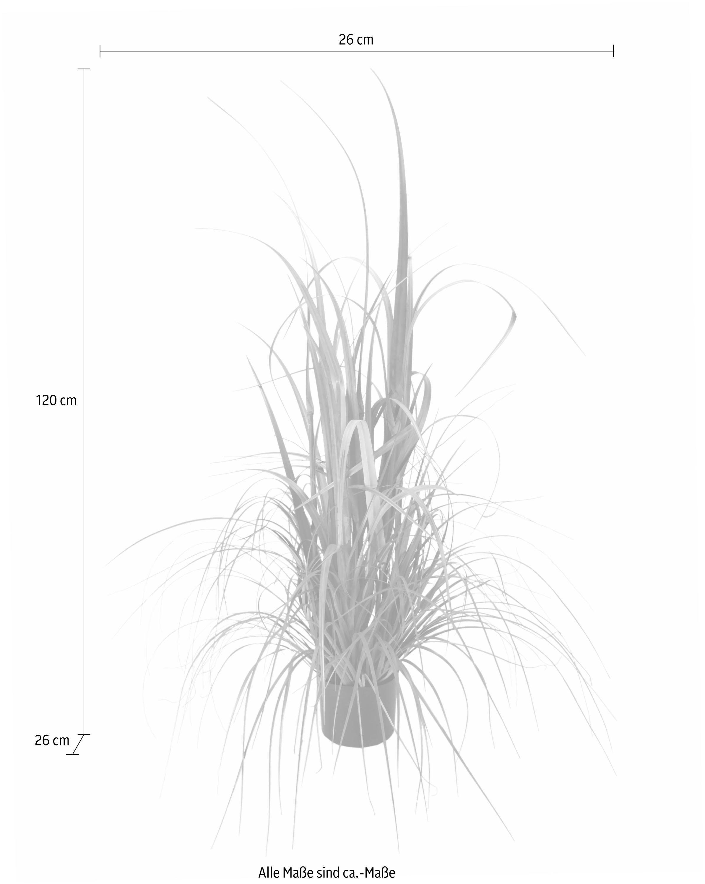 I.GE.A. Kunstplant Gras in pot (1 stuk)