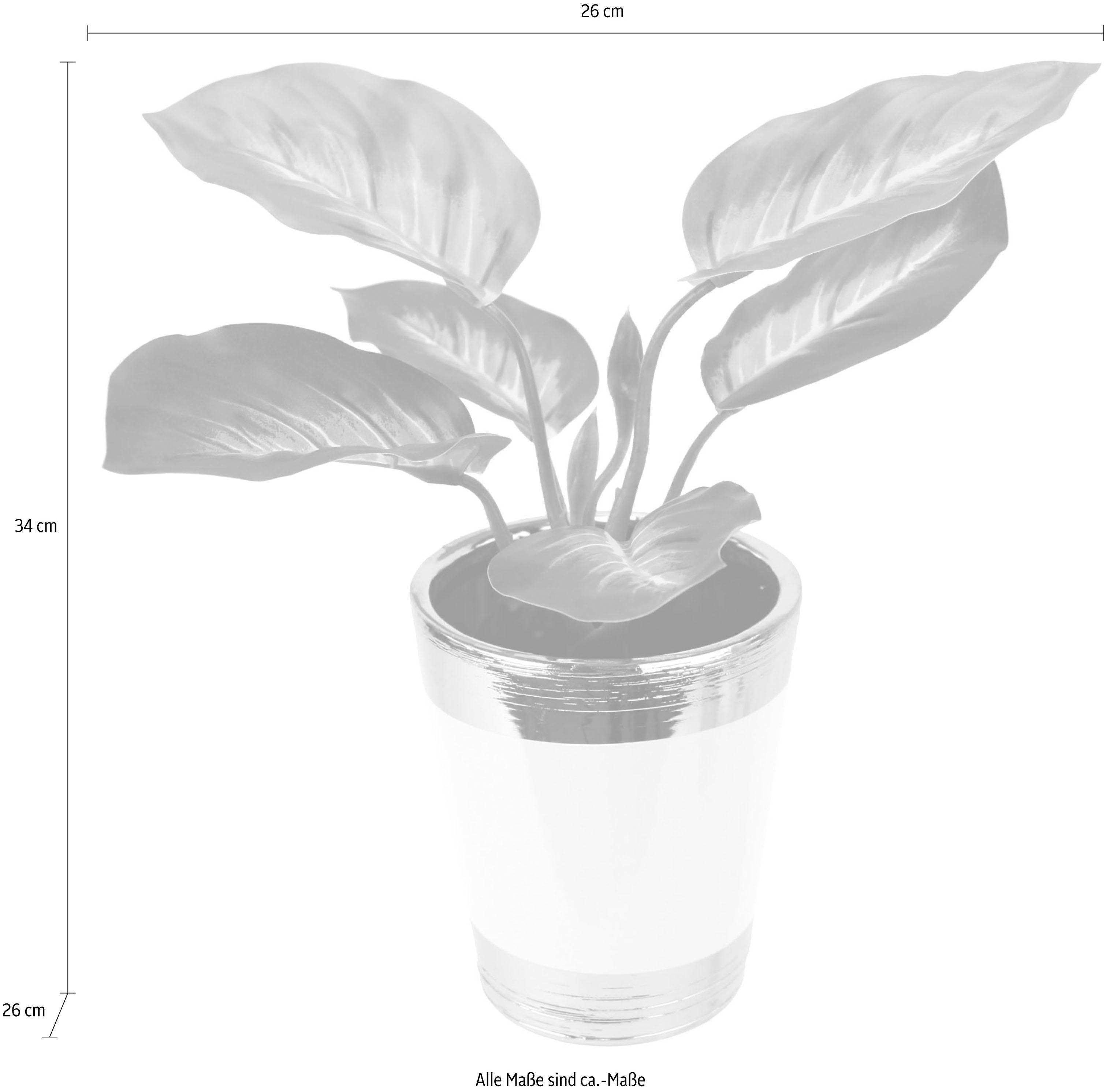 I.GE.A. Kunstplant Pothosplant in pot (set, 2 stuks)