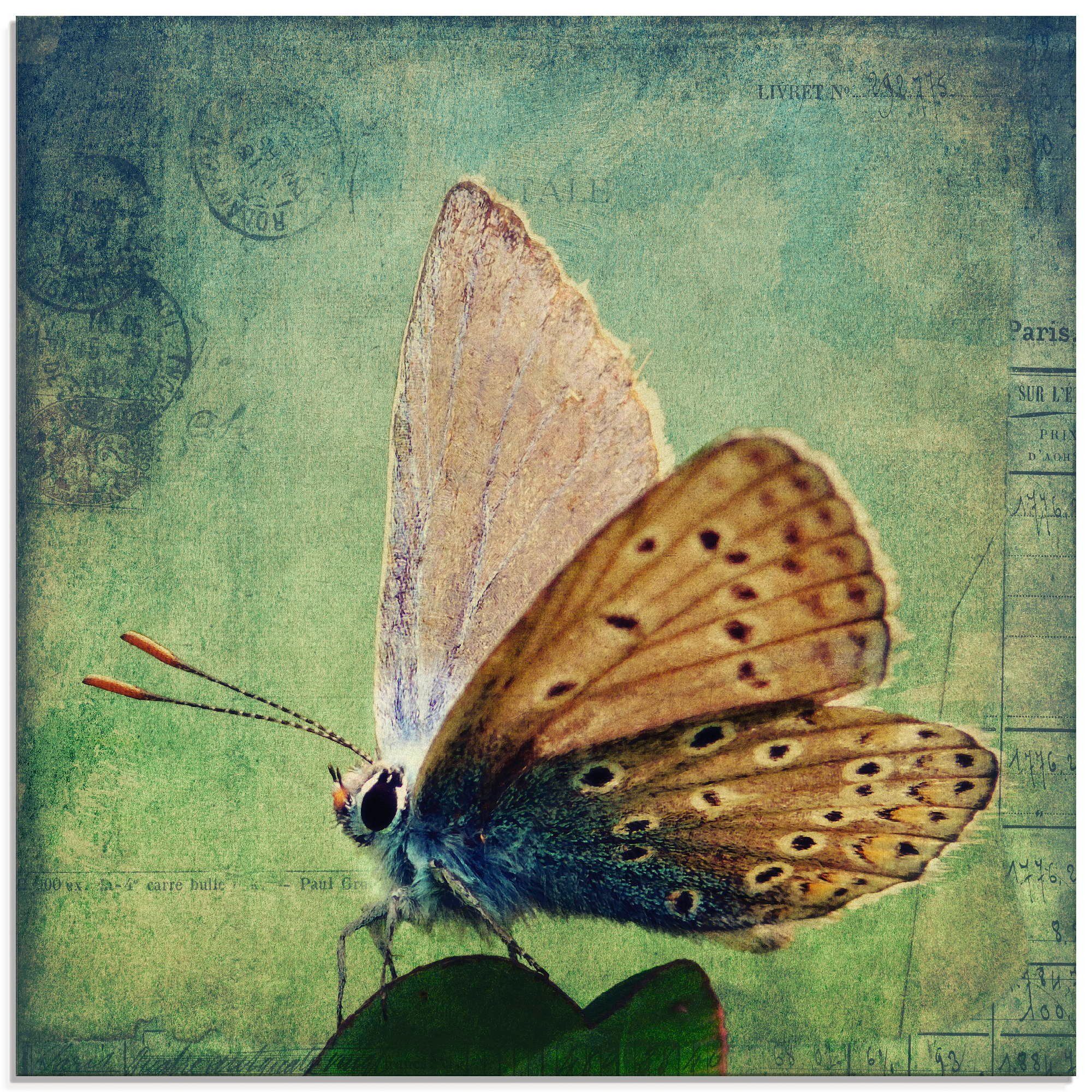 Artland Print op glas Kleine vlinder (1 stuk)