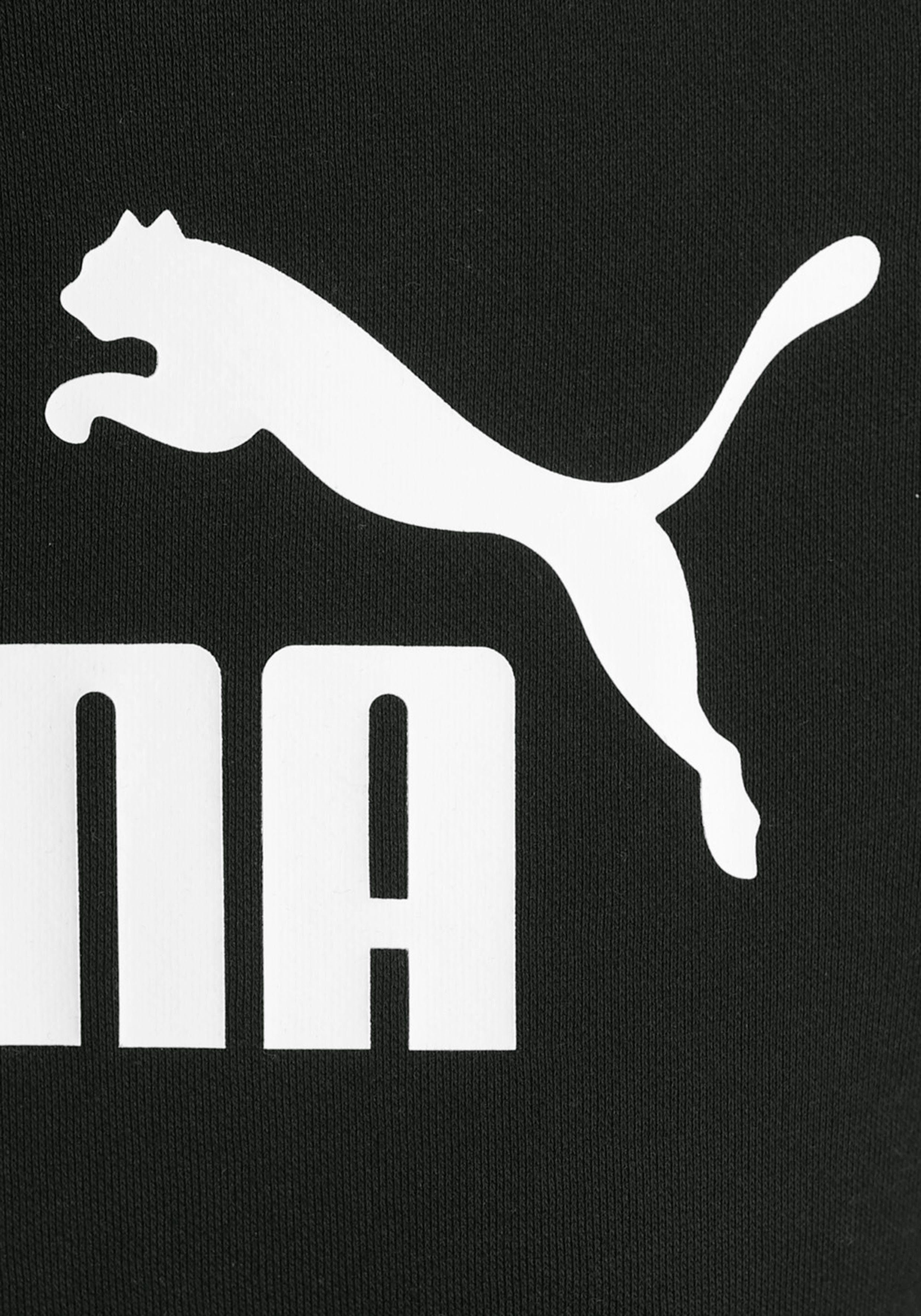 PUMA Hoodie ESS LOGO HOODIE FL