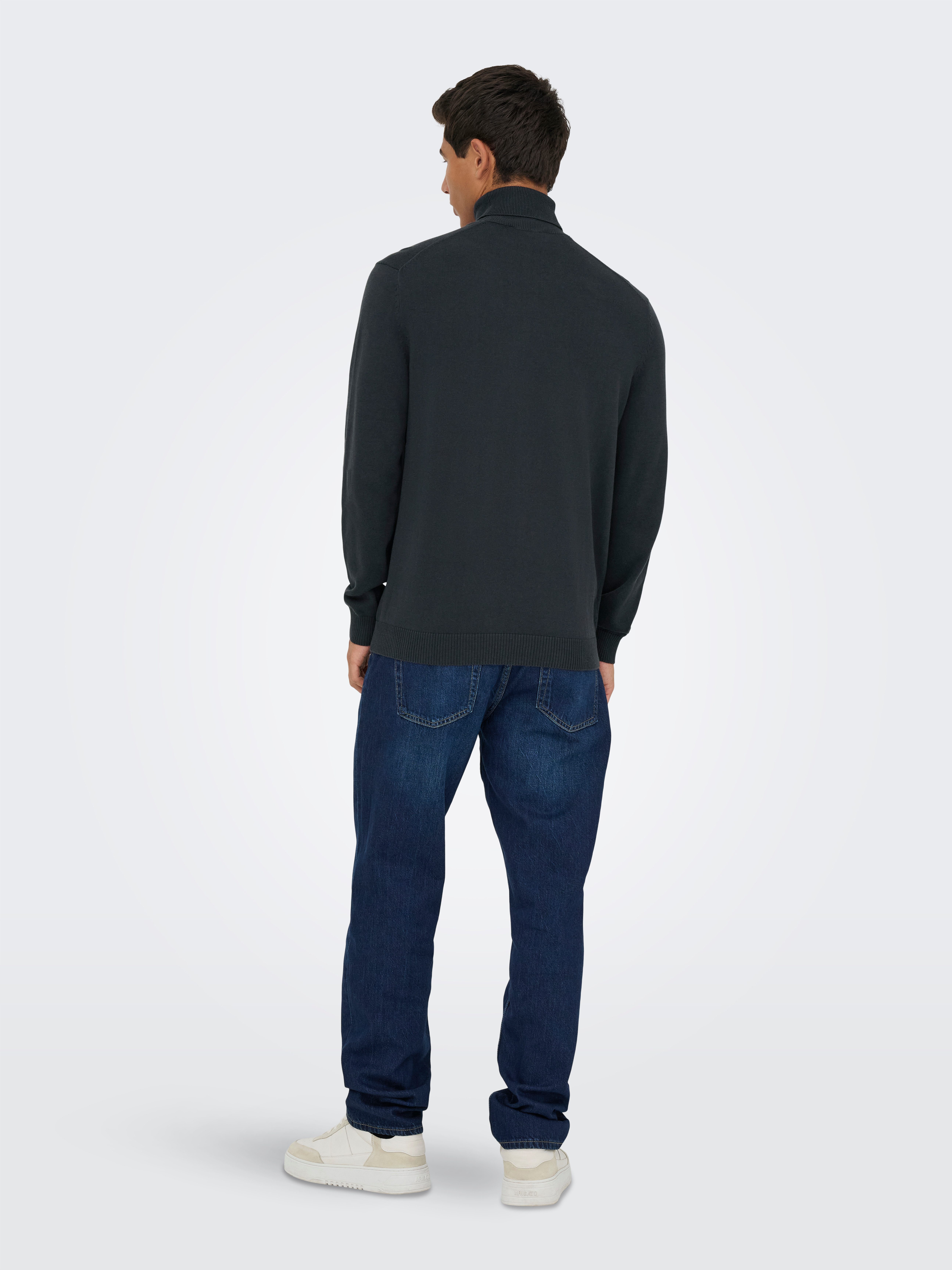 ONLY & SONS Coltrui ONSHOLGER REG ROLL NECK KNIT - OTL