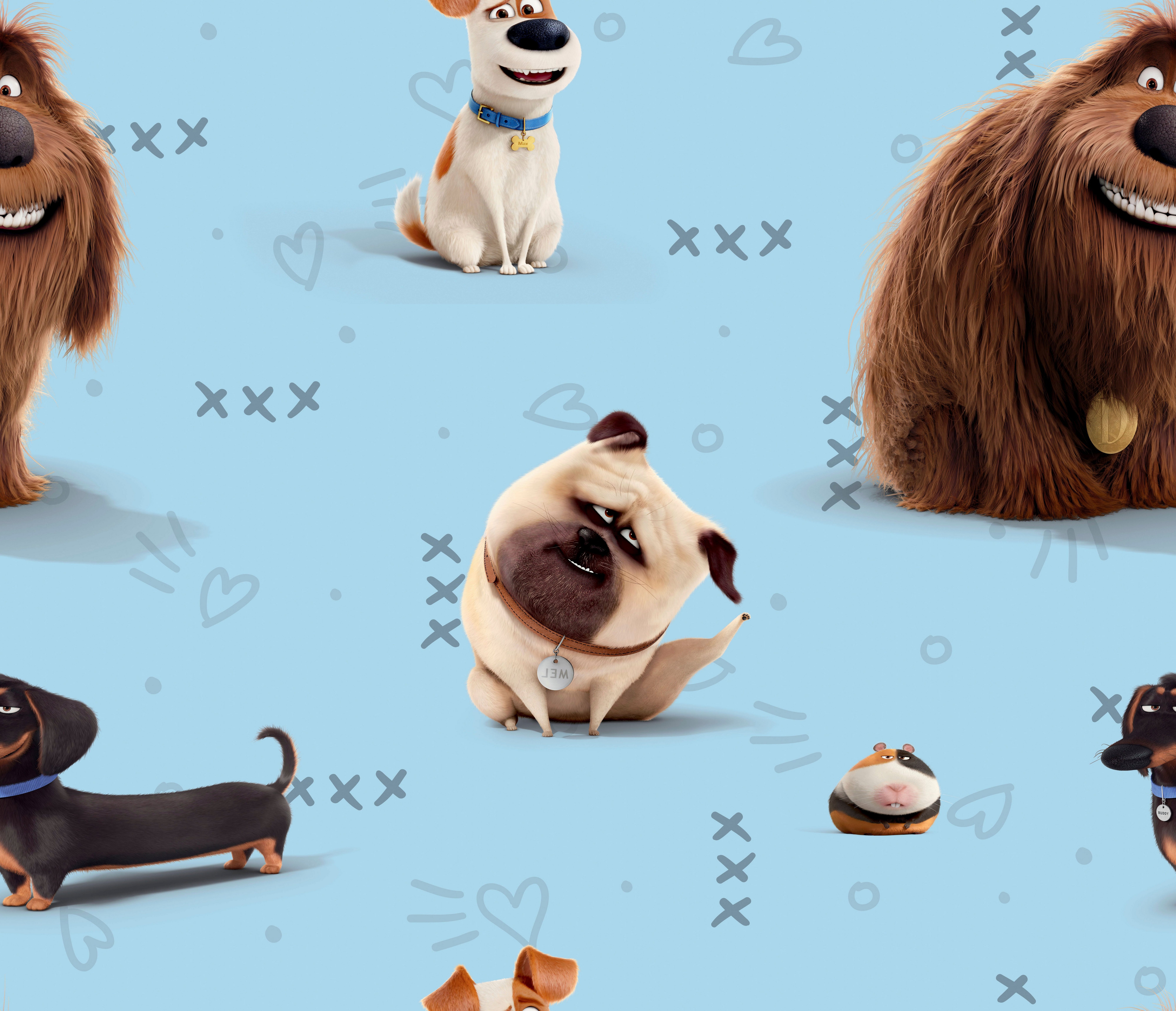 Wirth Gordijn Pets Universal Pictures (1 stuk)