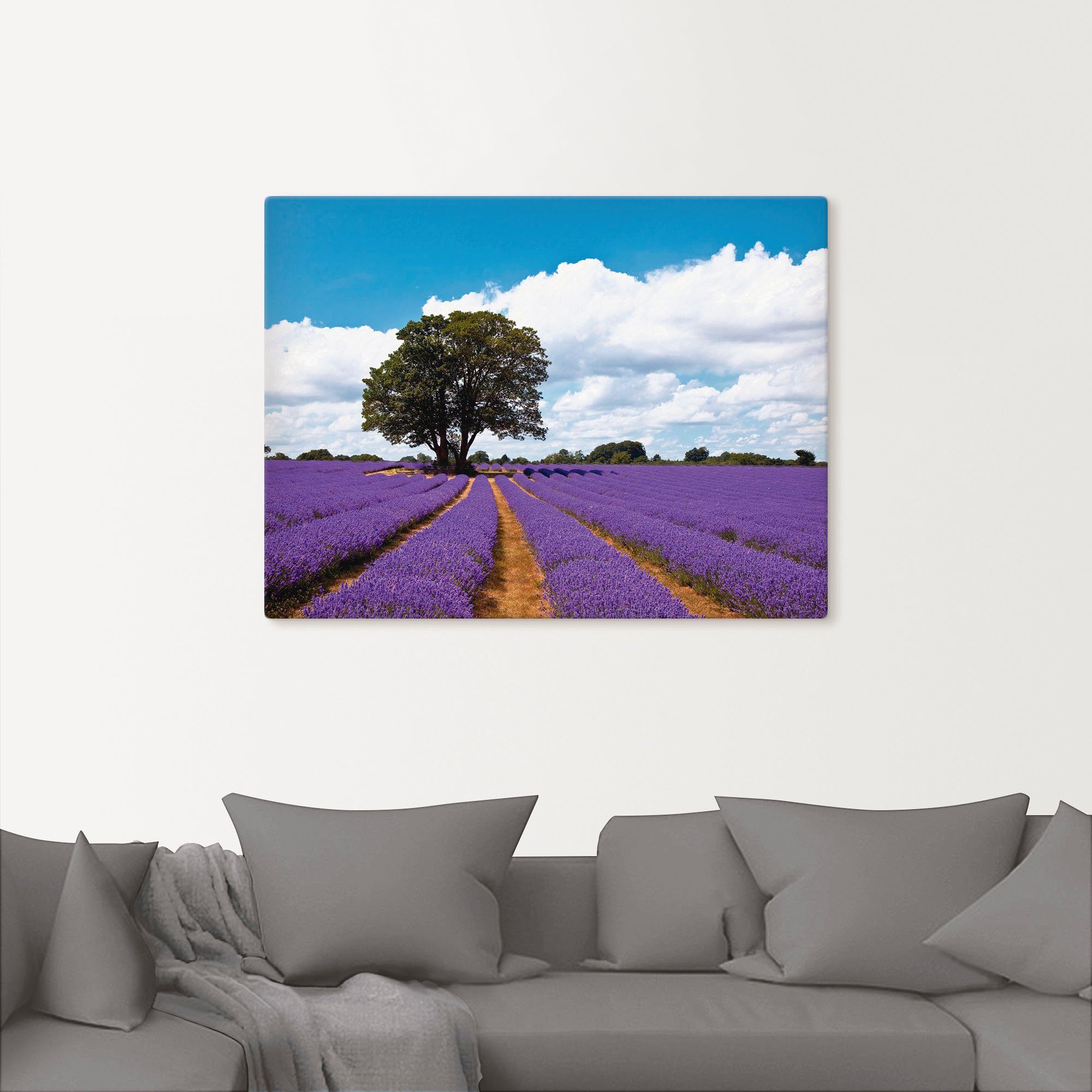 Artland Artprint Mooi lavendelveld in de zomer als artprint van aluminium, artprint voor buiten, artprint op linnen in verschillende maten