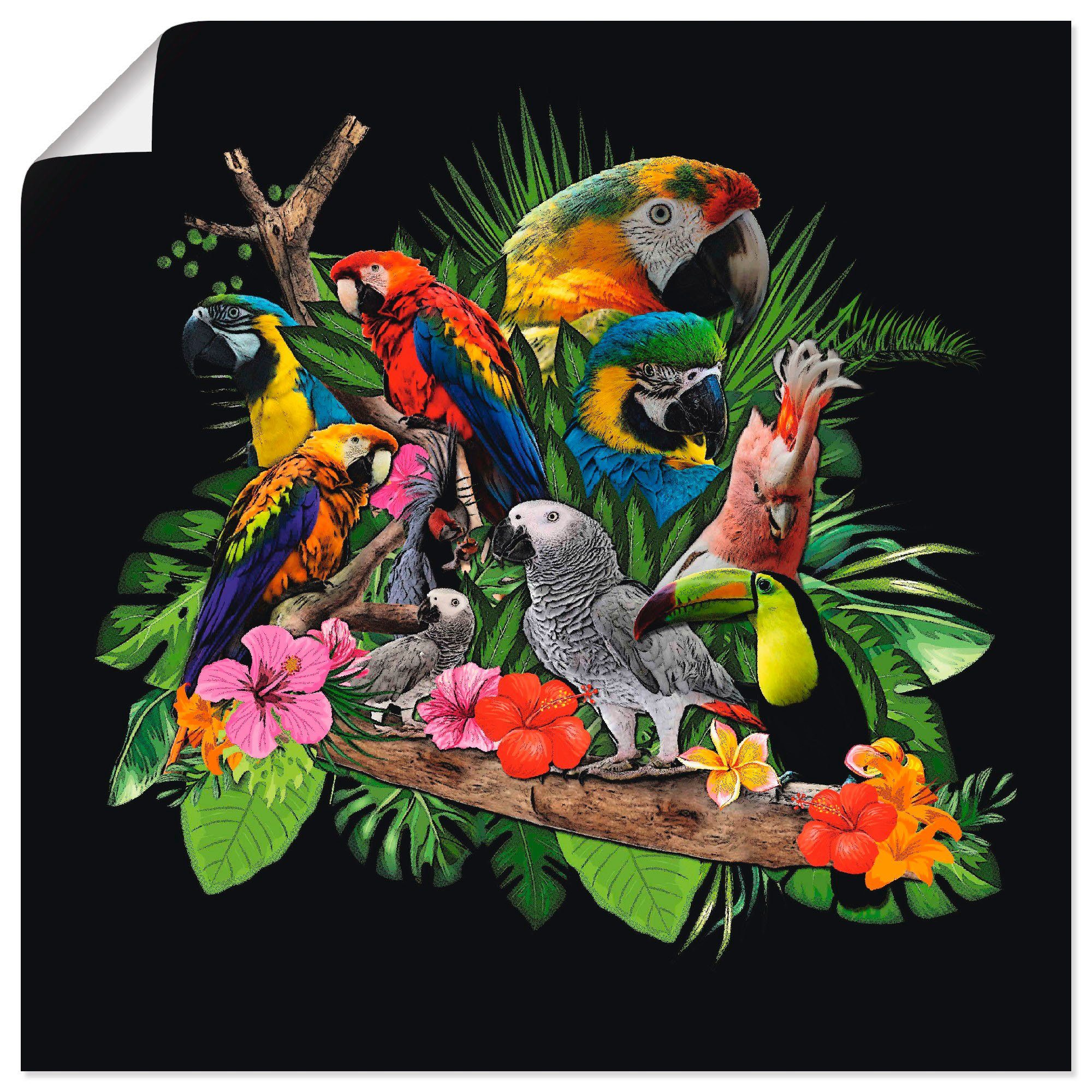 Artland Artprint Papegaaien Grijze Papegaai Kaketoe Jungle Als Artprint ...