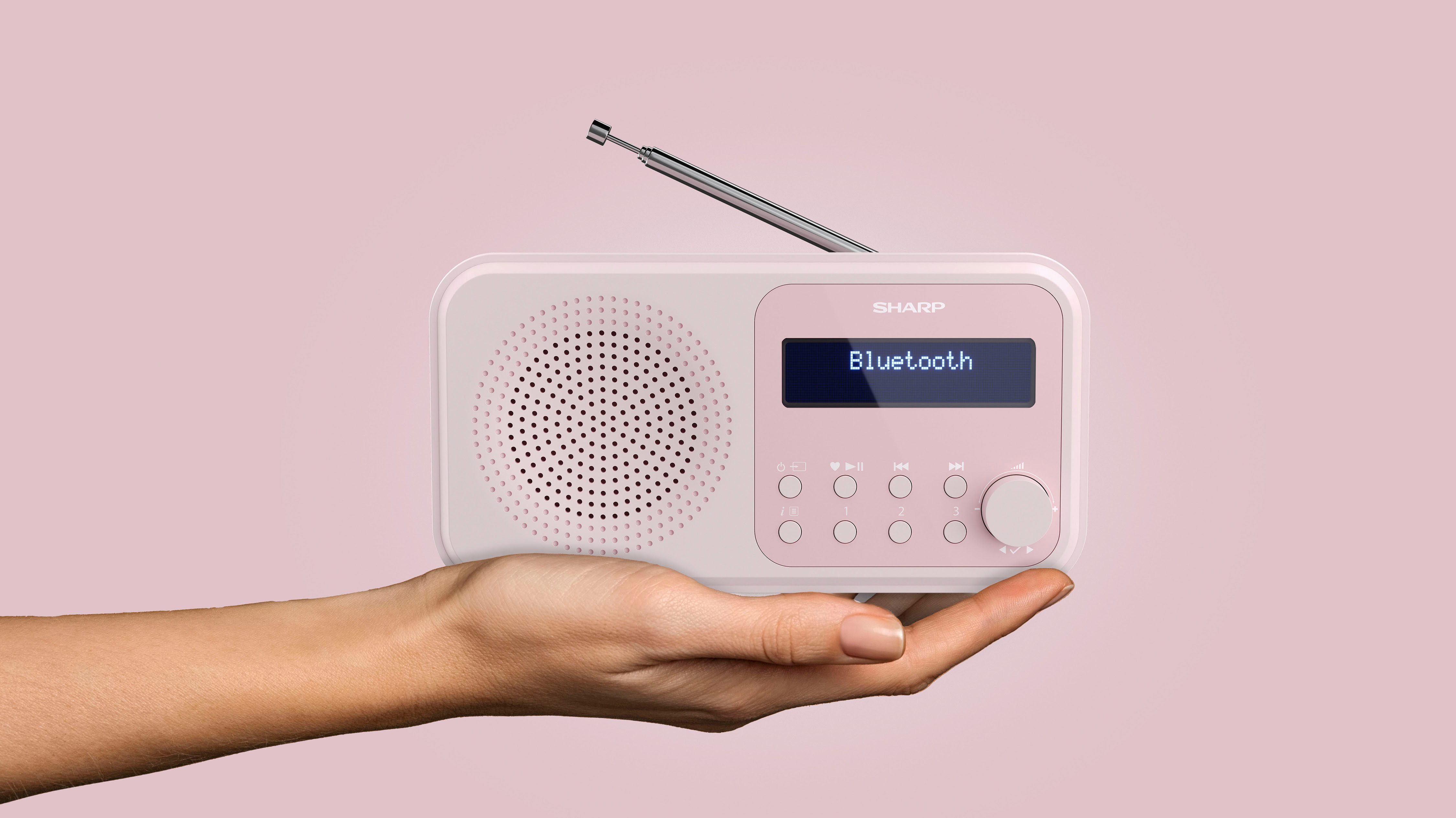 Sharp Radio DR-P420