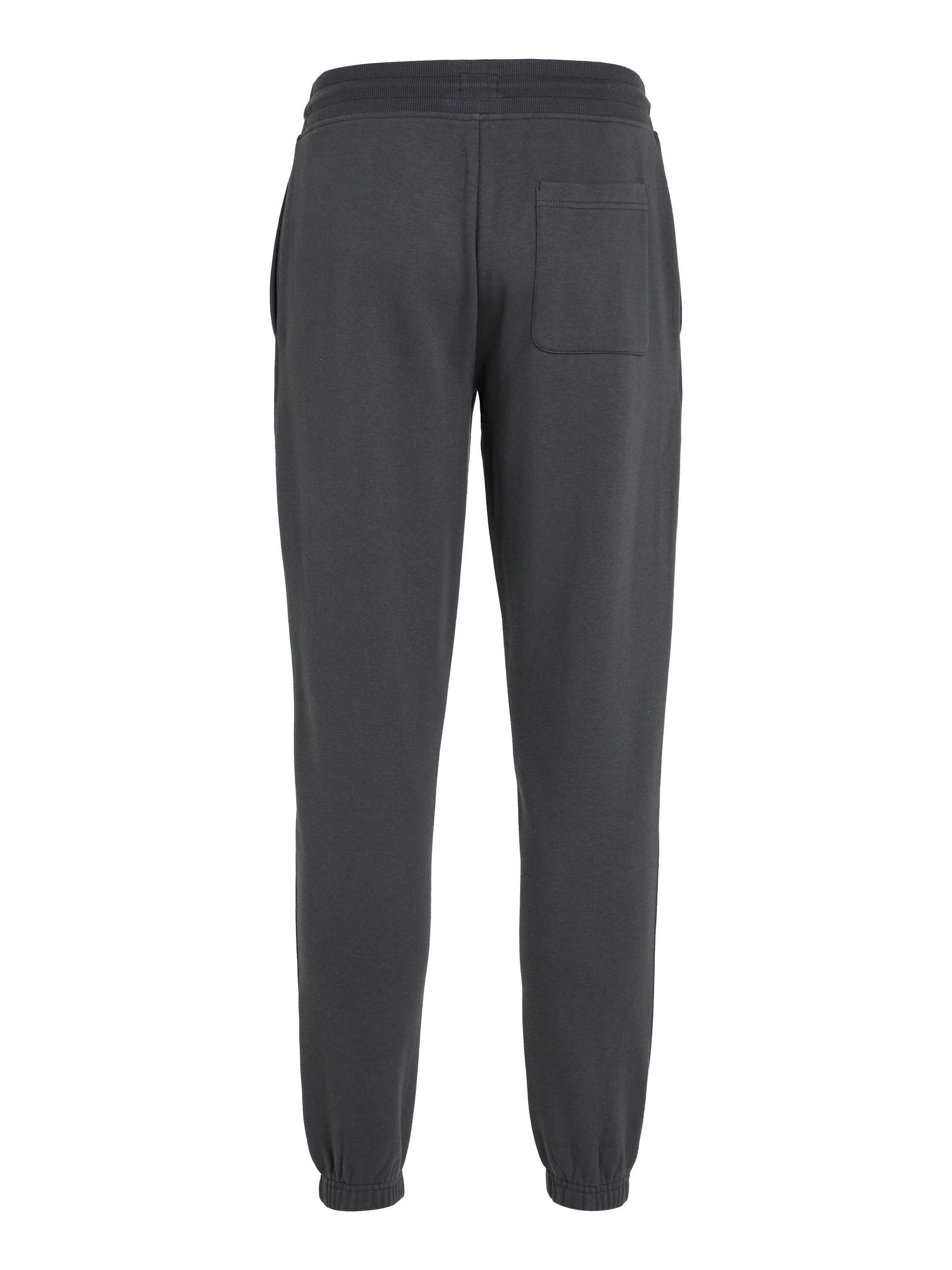 TOMMY JEANS Sweatbroek TJM SLIM S FLAG SWEATPANT