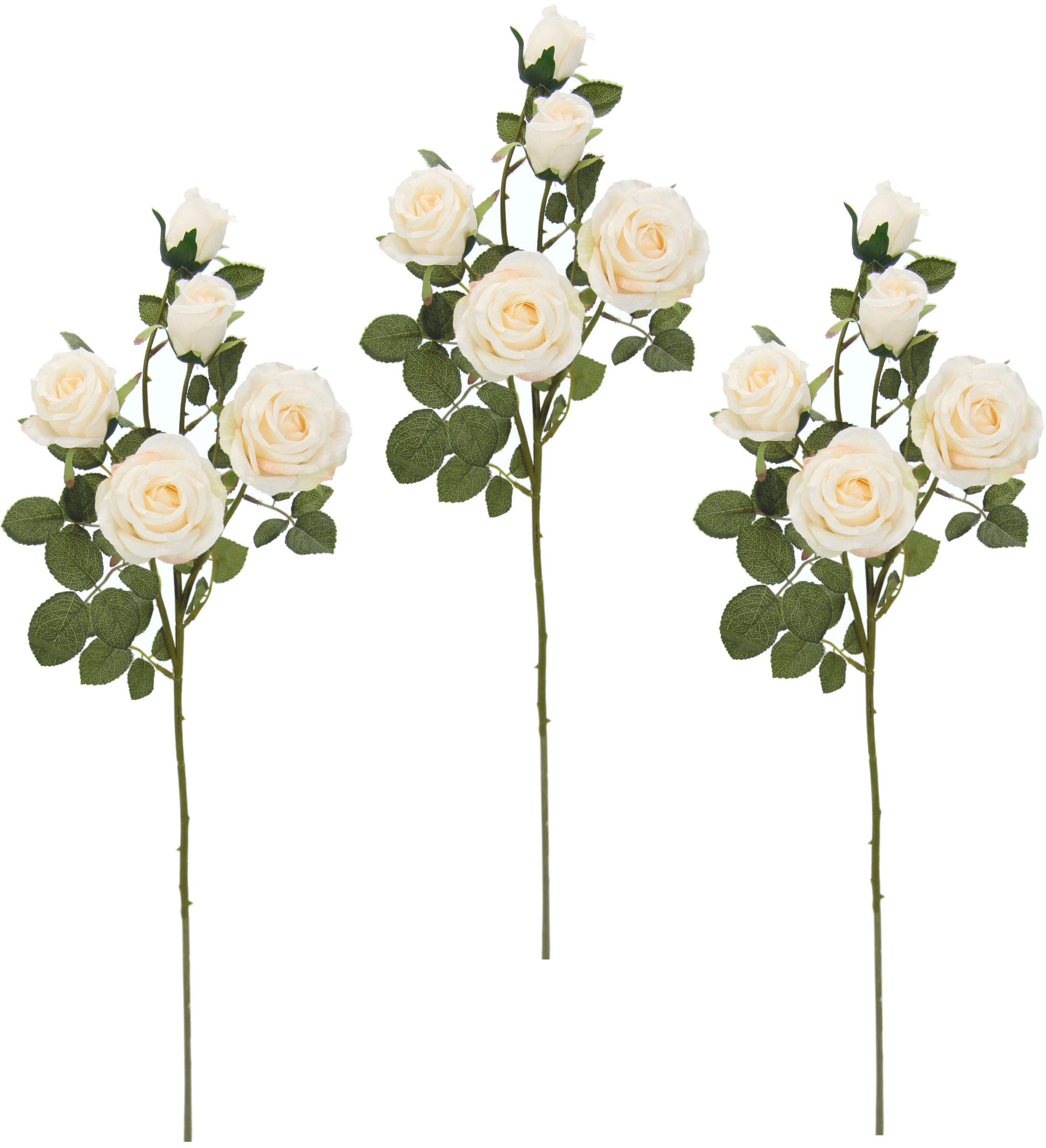 I.GE.A. Kunstbloem Rozentak set van 3 (3 stuks) kunstbloemen beige