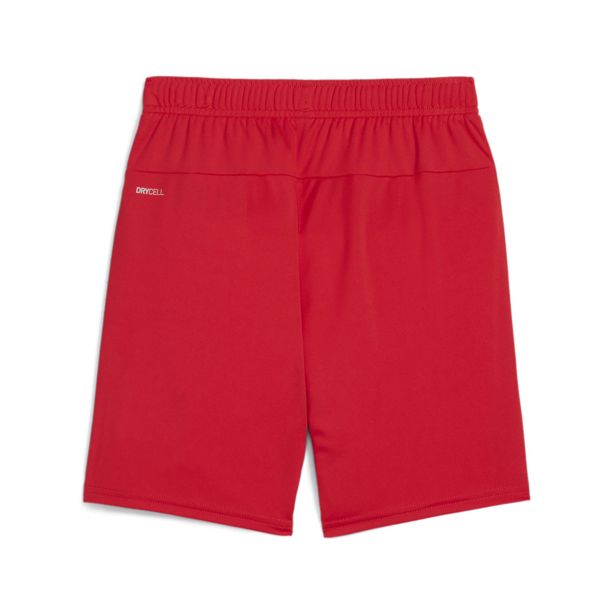 PUMA Trainingsshort TEAMGOAL SHORTS JR