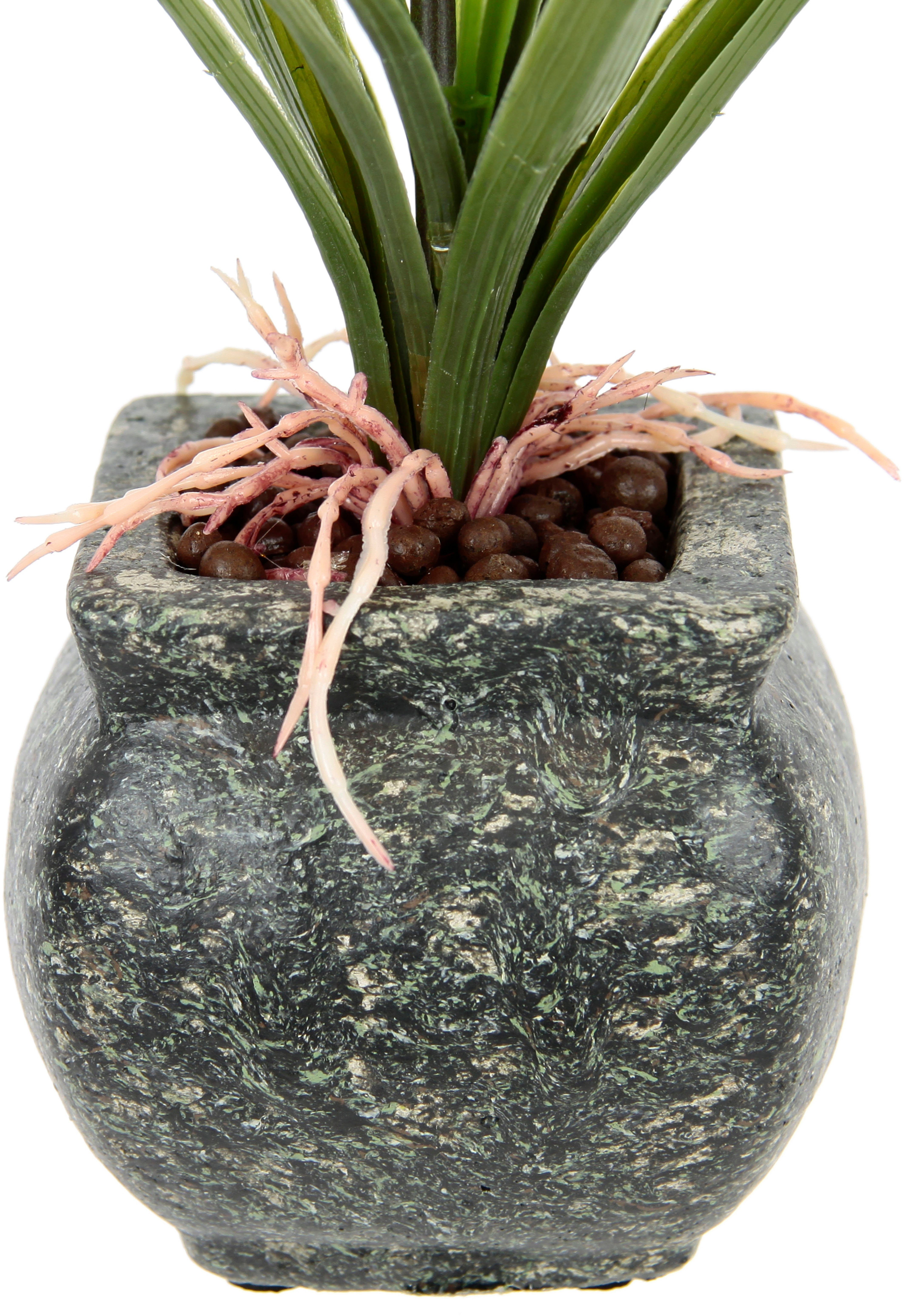 my home Kunstbloem Orchidee Met bladeren in pot van cement, kunstbloem Cymbidium-orchidee (1 stuk)
