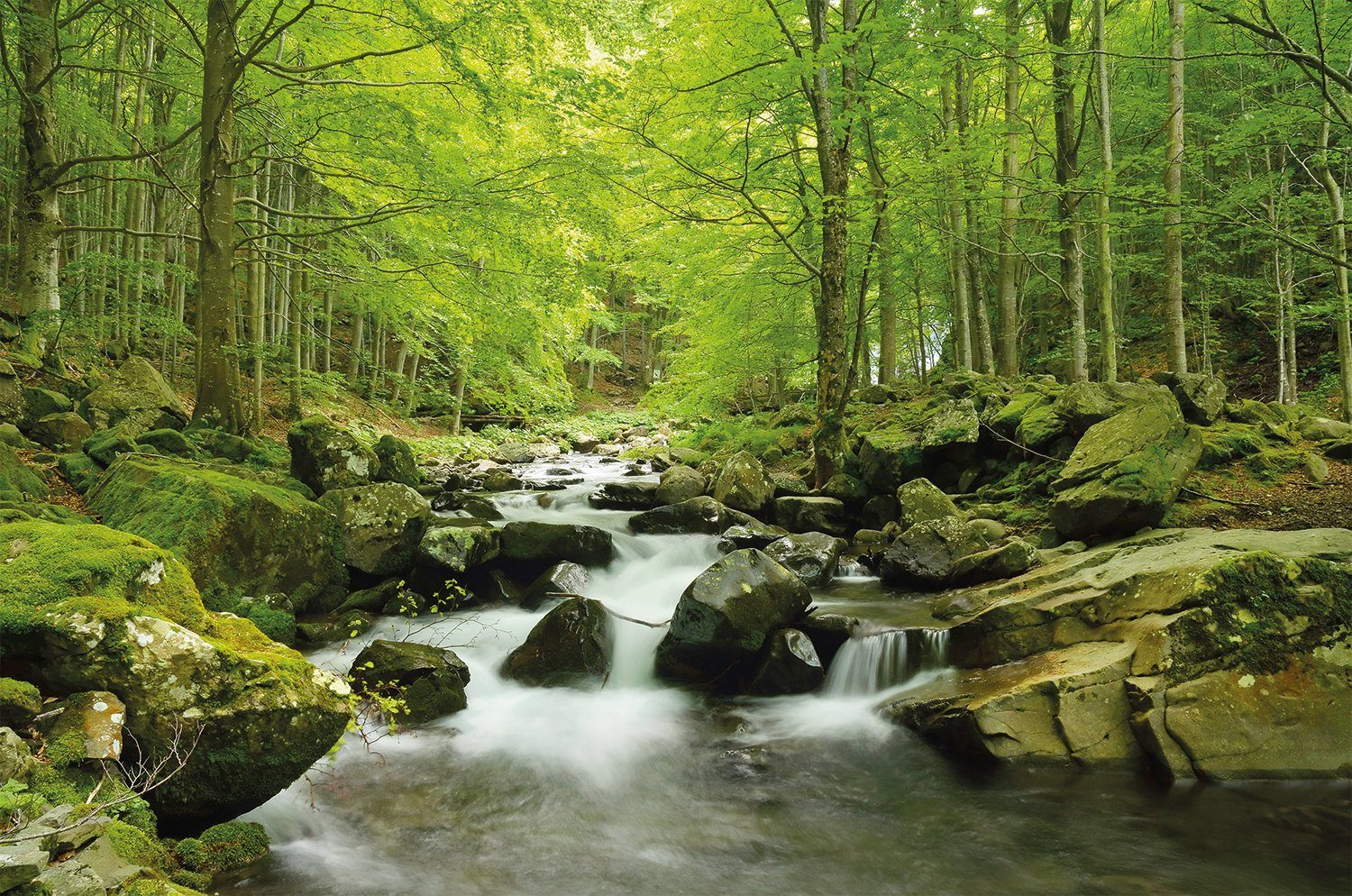 Papermoon Fotobehang Soft Water stream