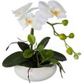 creativ green kunstorchidee vlinderorchidee in keramische kom (1 stuk) wit