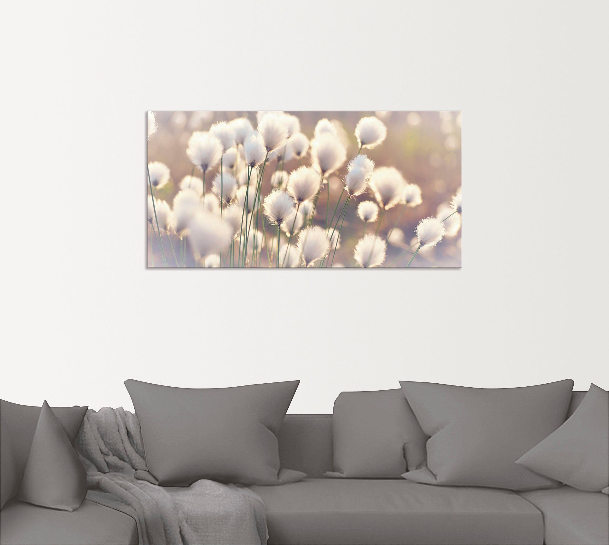 Artland Artprint Wolgrasmagie in het veen als artprint van aluminium, artprint voor buiten, artprint op linnen, poster, muursticker