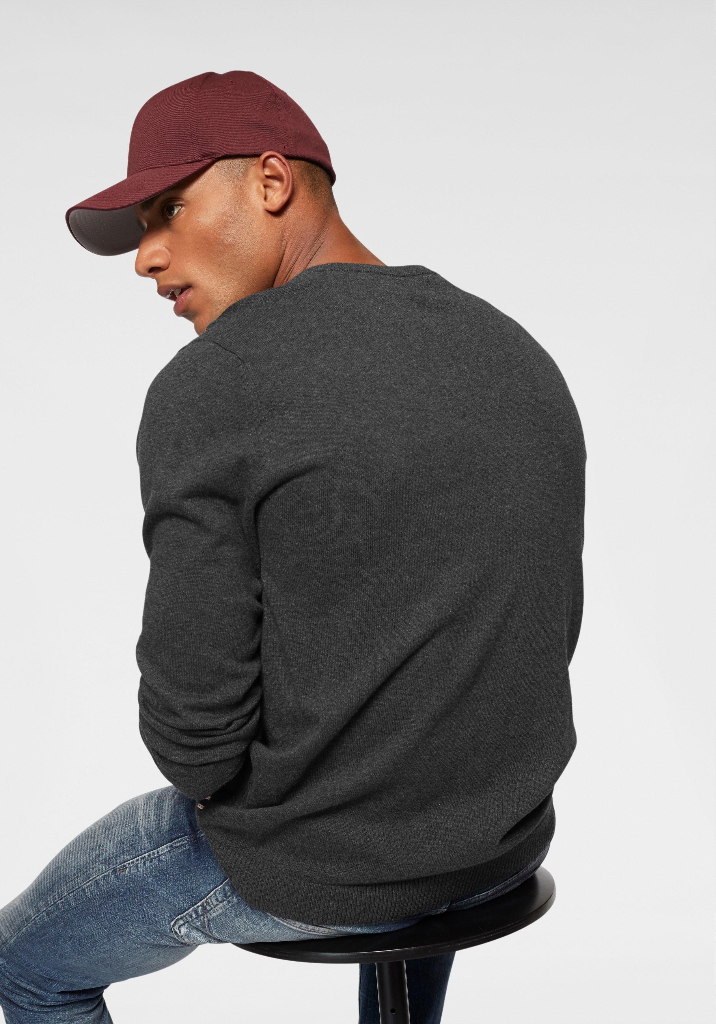 Jack & Jones Trui met V-hals JJEBASIC KNIT V-NECK