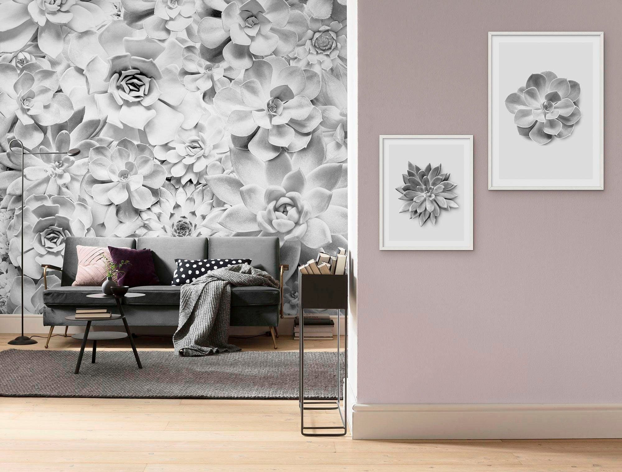 Komar Wanddecoratie Succulent agave Wanddecoratie - zonder lijst (1 stuk)