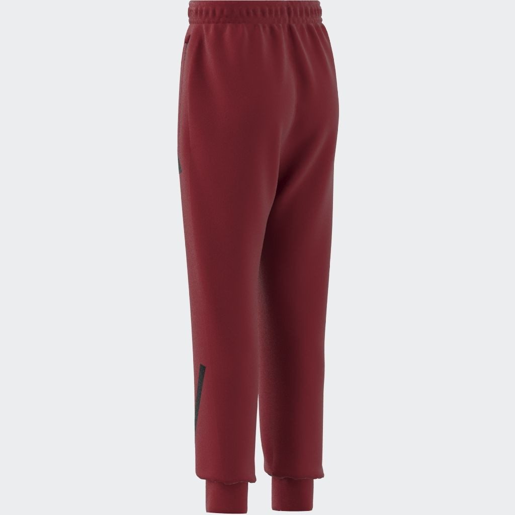 adidas Sportswear Sportbroek J Z.N.E. PT (1-delig)