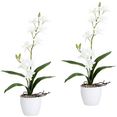 creativ green kunstplant orchidee dendrobie in een keramische pot (set, 2 stuks) wit