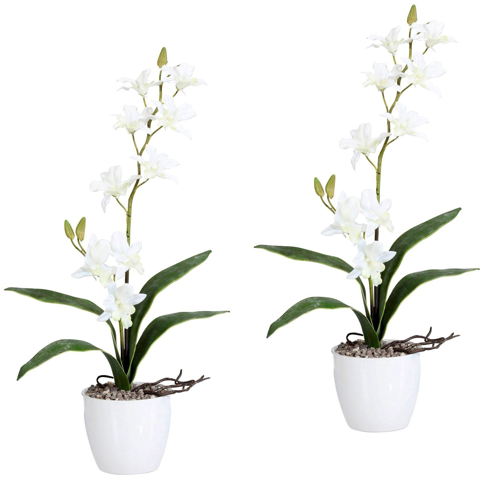 Creativ green Kunstplant Orchidee Dendrobie in een keramische pot (set)