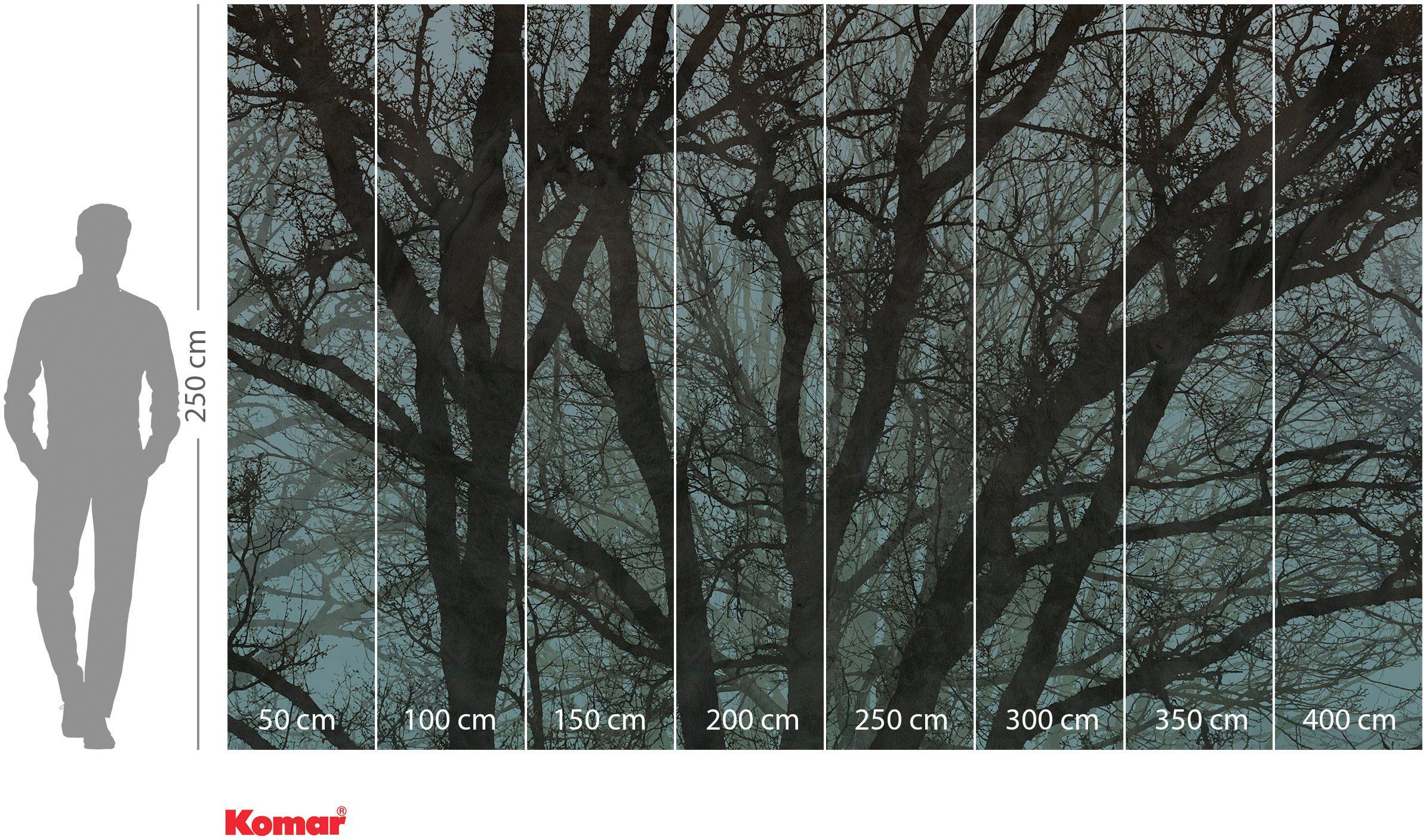 Komar Vliesbehang Digitale print vlies - Whispering Woods - Afmeting 400 x 250 cm (1 stuk)