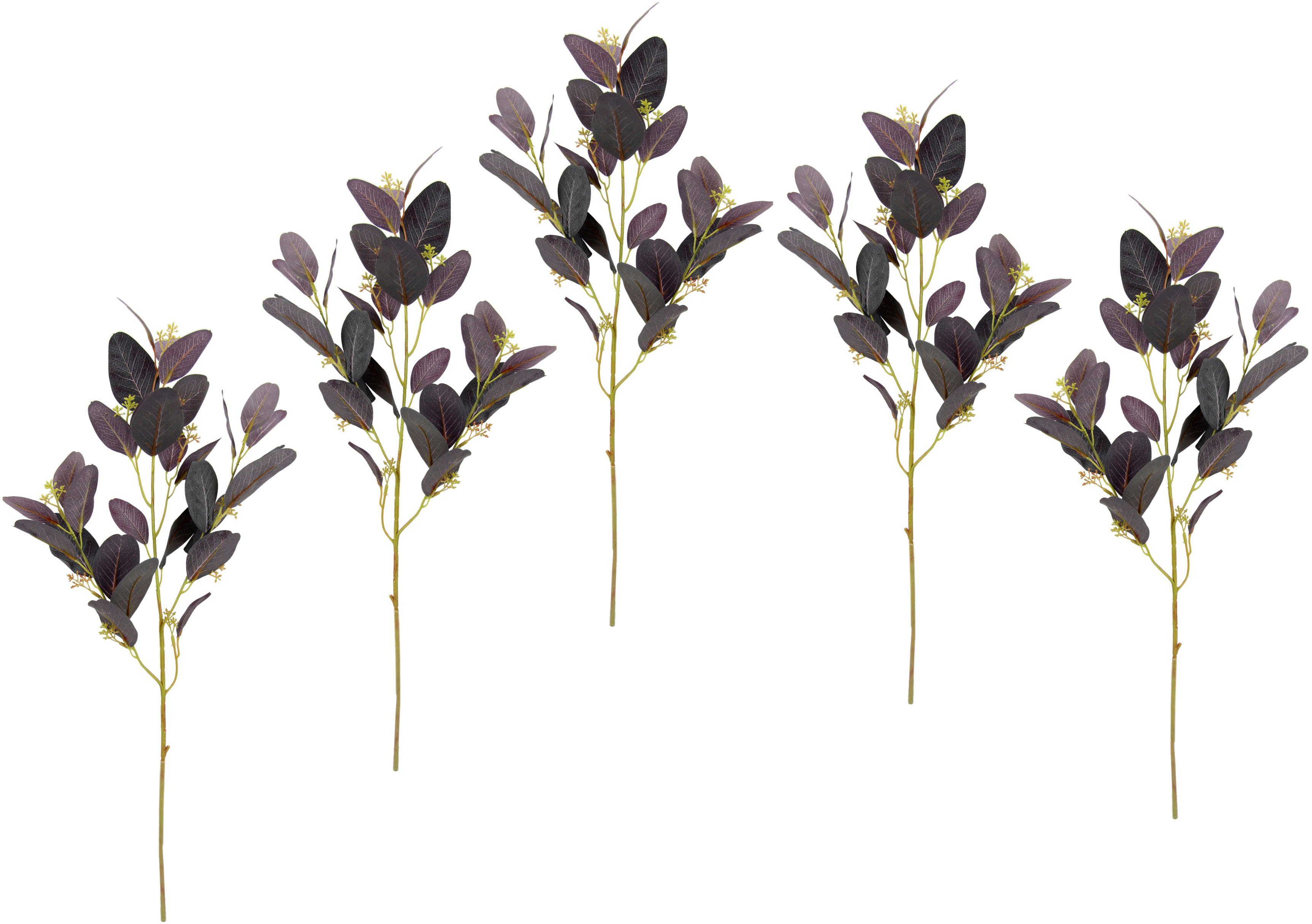 I.GE.A. Kunstbloem Pruikheestertak (5 stuks) kunstbloemen paars