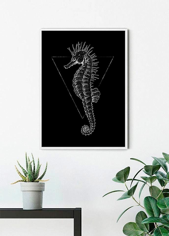 Komar Wanddecoratie Sea Horse black Wanddecoratie - zonder lijst (1 stuk)