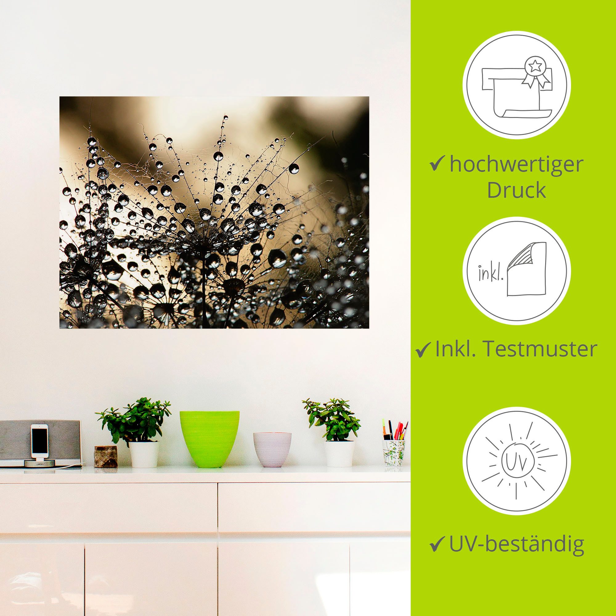 Artland Artprint Natte paardenbloem als artprint van aluminium, artprint voor buiten, artprint op linnen, poster, muursticker