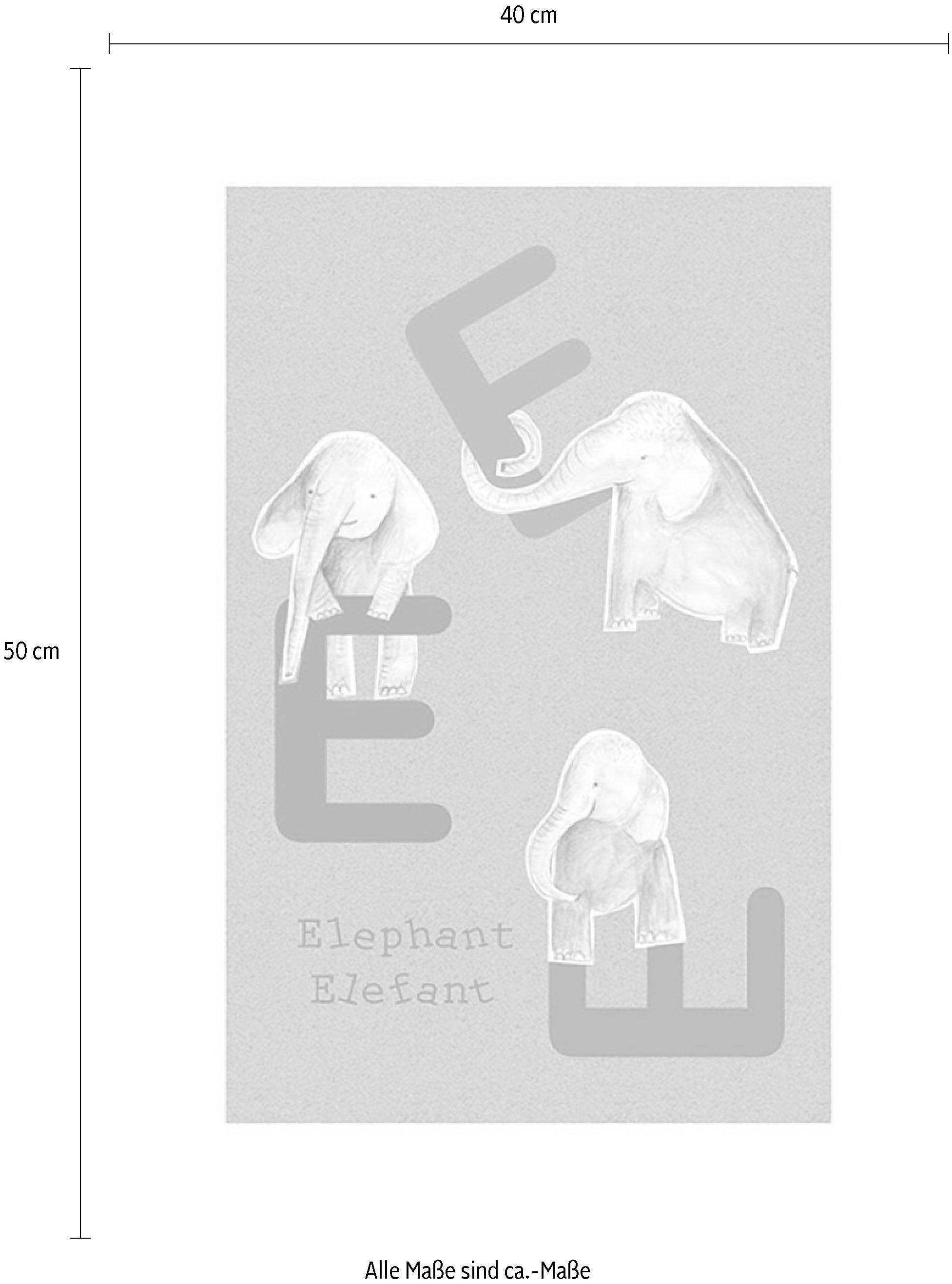 Komar Wanddecoratie ABC animal E Wanddecoratie - zonder lijst (1 stuk)