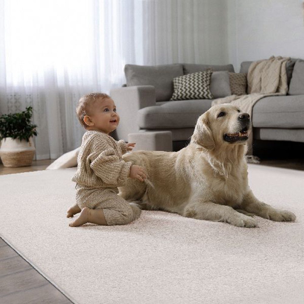 The carpet Vloerkleed Cosy Woonkamer tapijt bont-uitstraling wasbaar elegant