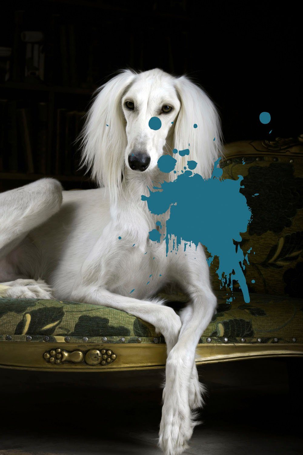 queence Artprint op acrylglas Hond