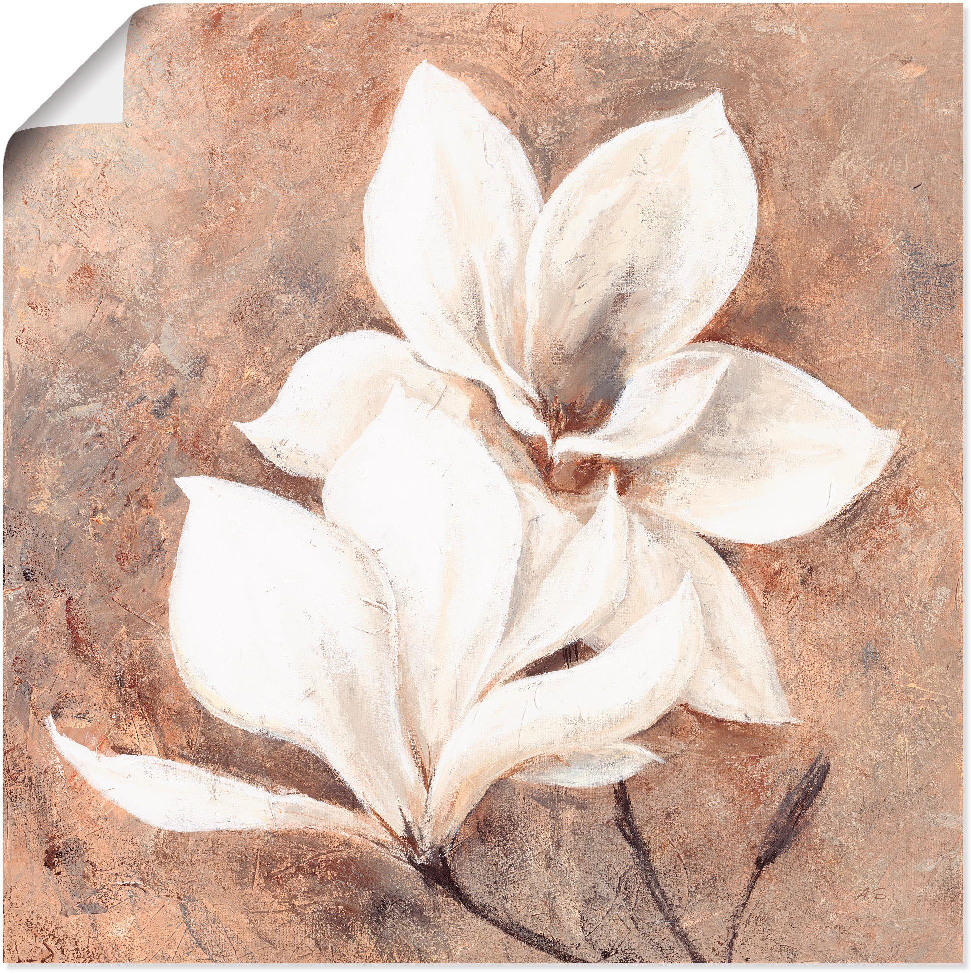Artland Artprint Klassieke magnolia's in vele afmetingen & productsoorten - artprint van aluminium / artprint voor buiten, artprint op linnen, poster, muursticker / wandfolie ook g