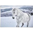 reinders! poster pferd im schnee (1 stuk) wit