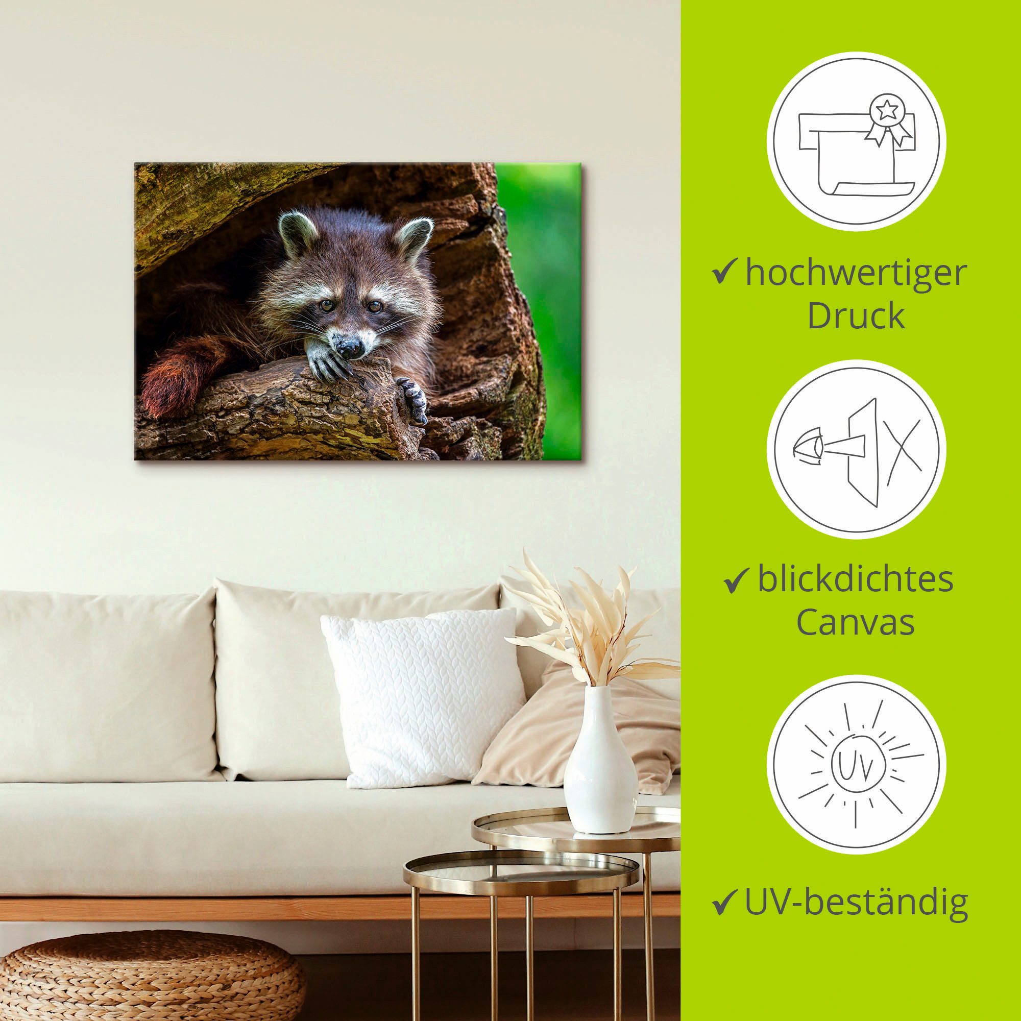 Artland Artprint op linnen Wasbeer gespannen op een spieraam