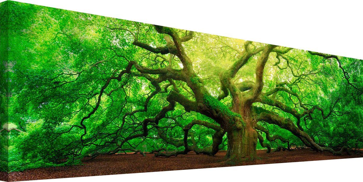 Reinders! Artprint op hout Deco-block 40x118 Old Oak