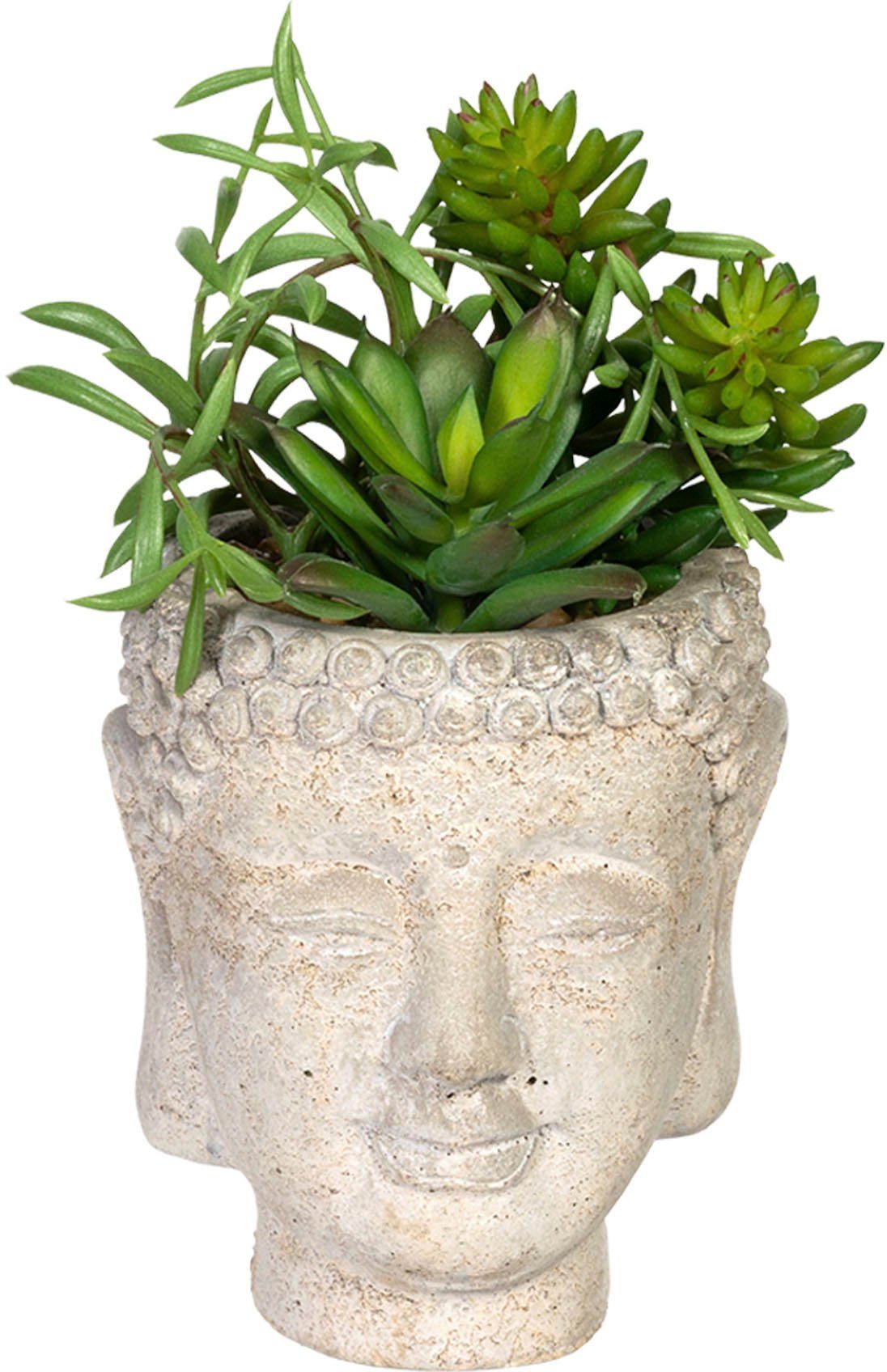 Creativ green Kunst-potplanten Vetplanten-arrangement in pot van cement(2 stuks)