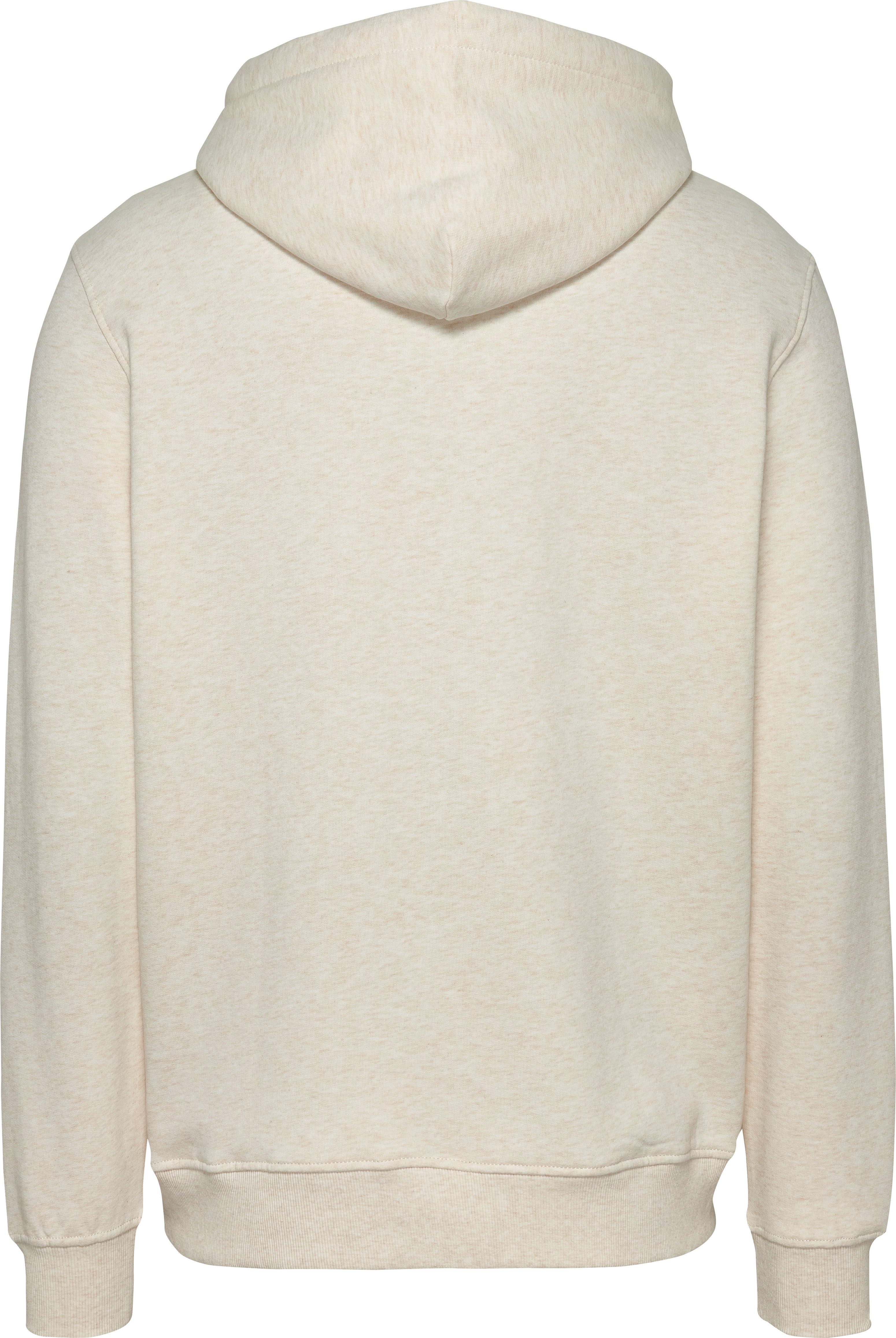 TOMMY JEANS Hoodie TJM REG LINEAR LOGO HOODIE EXT