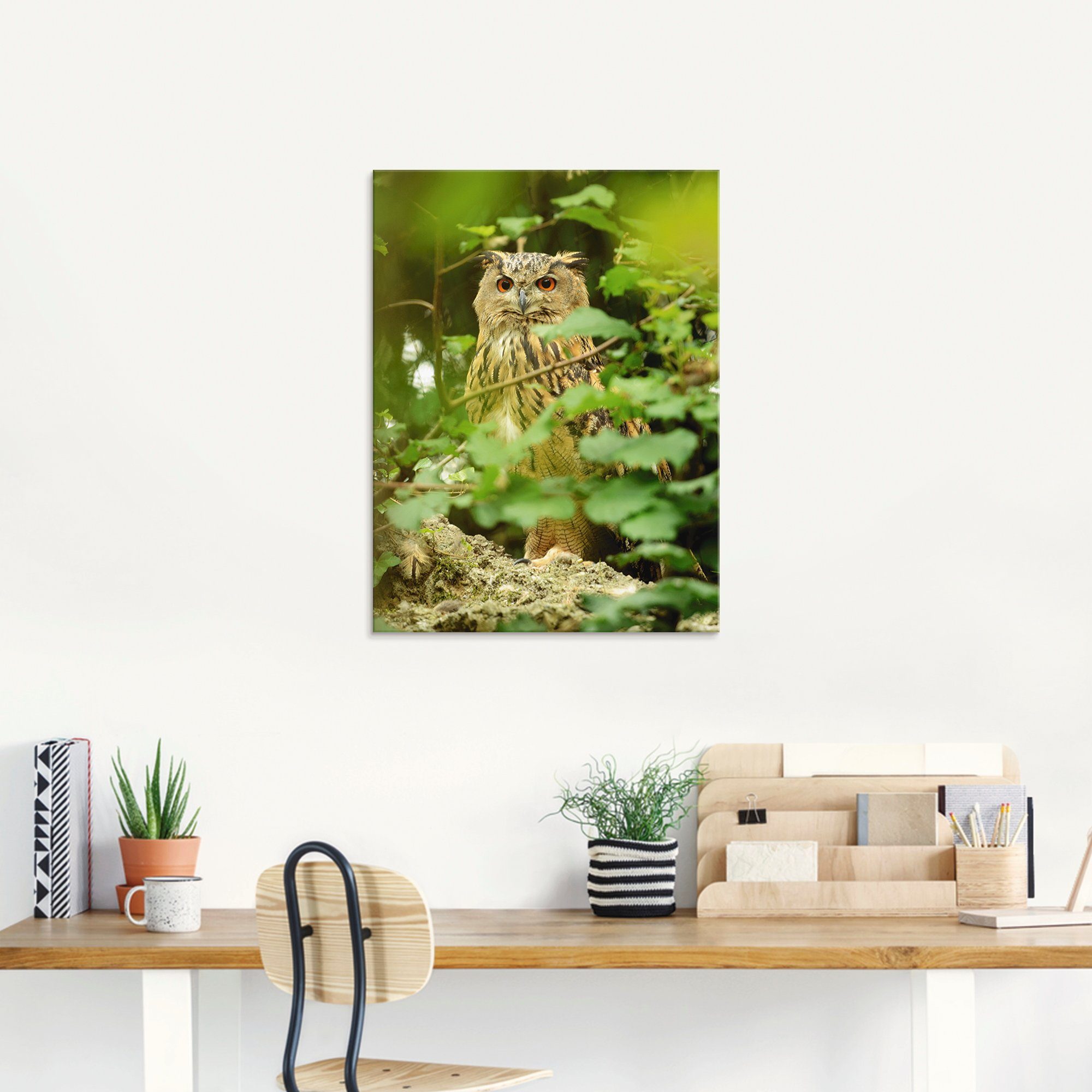 Artland Print op glas Vogel oehoe in verschillende maten