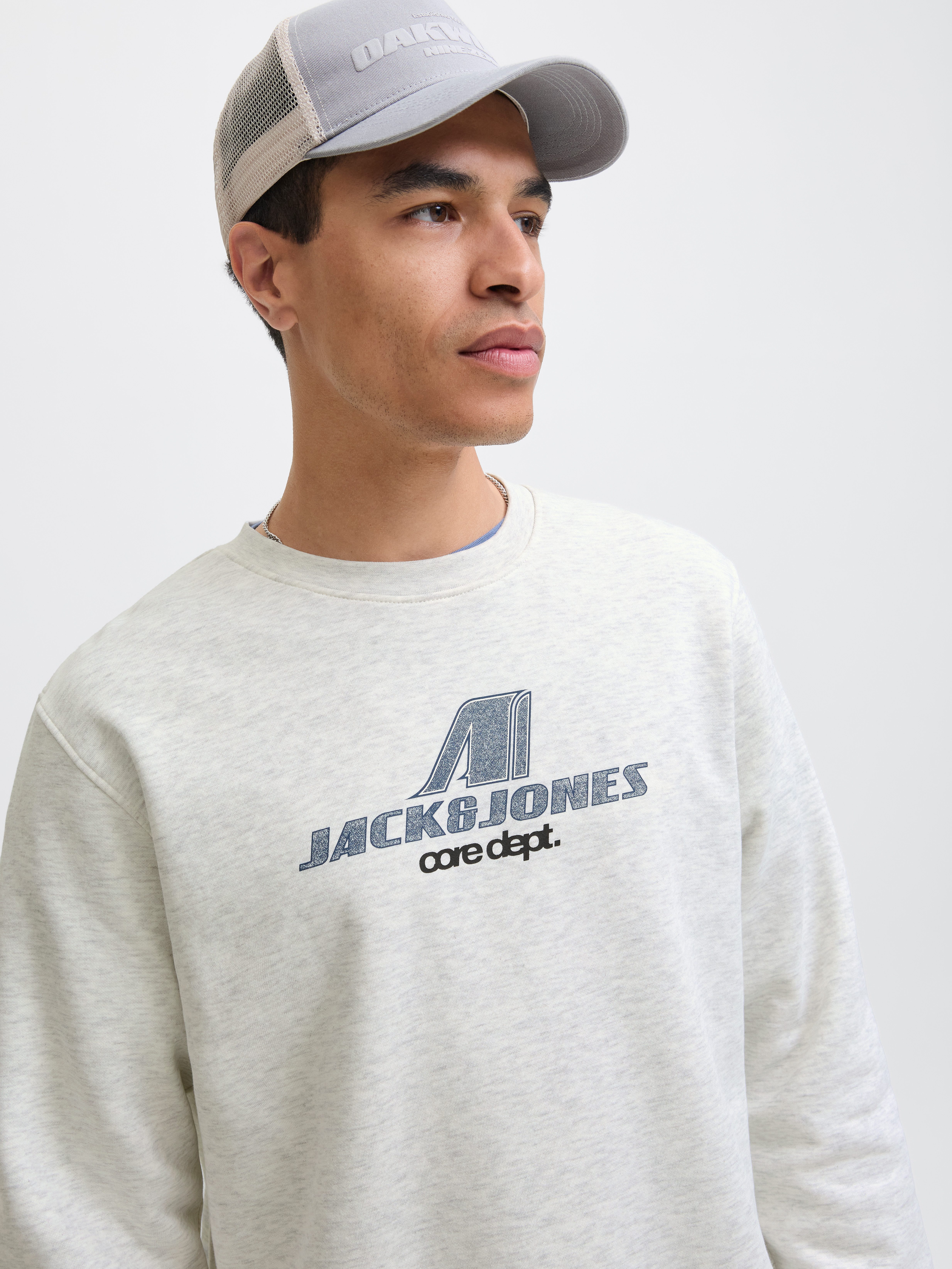 Jack & Jones Sweatshirt JCOTIER PRINT SWEAT CREW NECK