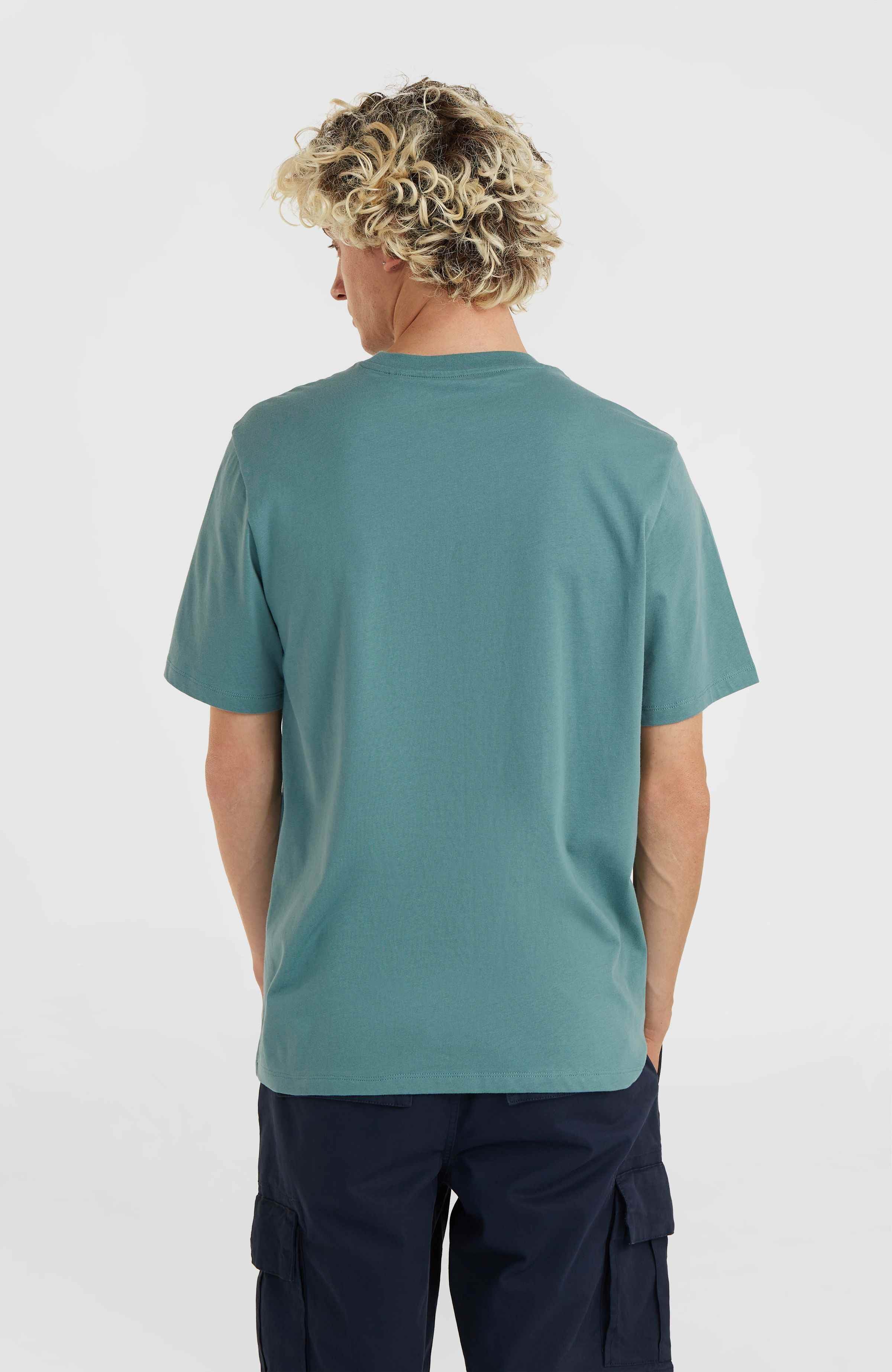 O'Neill T-shirt O'NEILL SMALL LOGO T-SHIRT