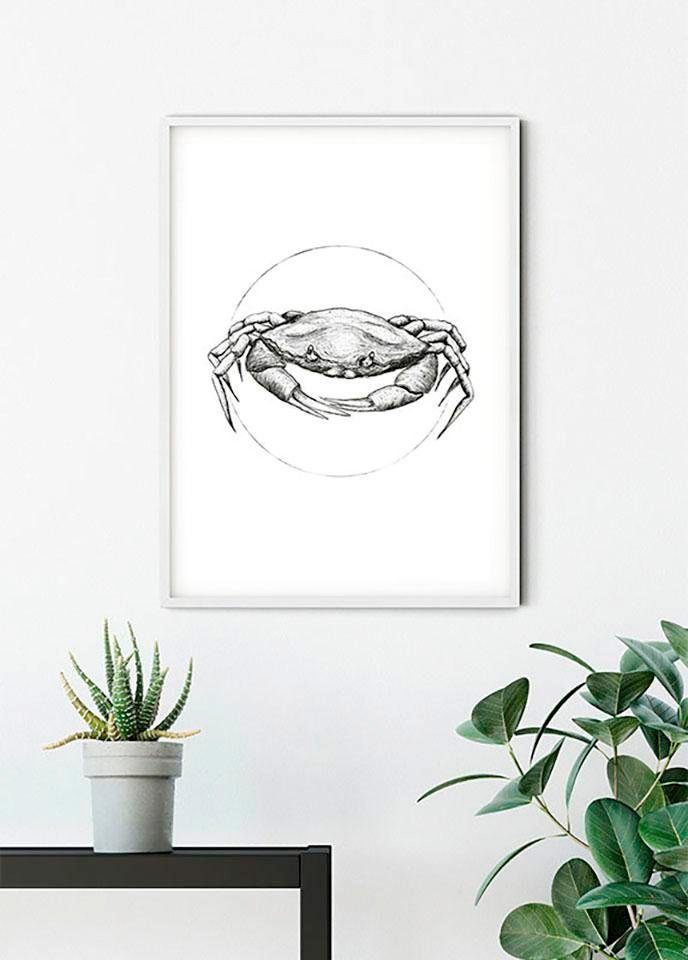 Komar Wanddecoratie Crab white Wanddecoratie - zonder lijst (1 stuk)