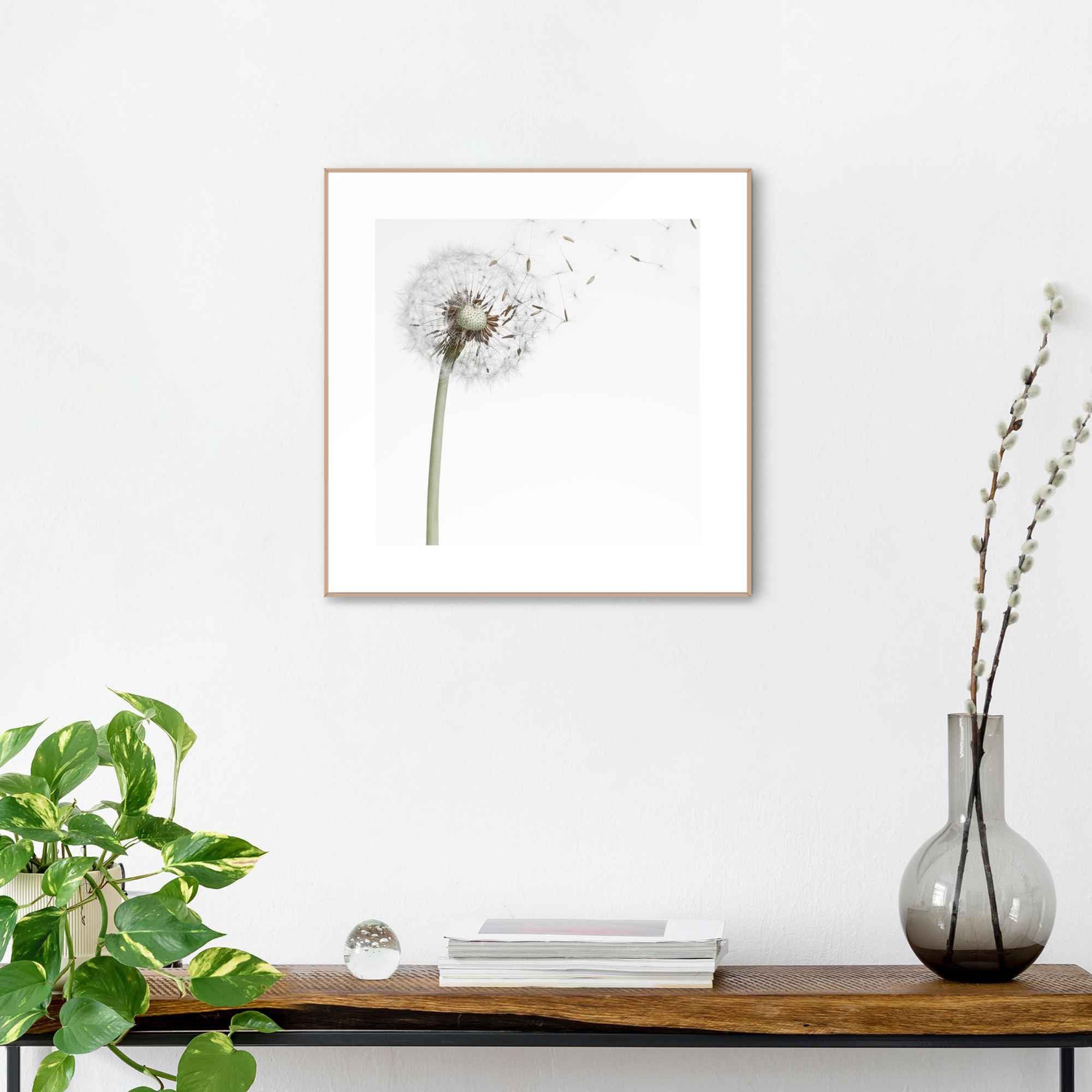 Reinders! Wanddecoratie Ingelijste print pluizenbol