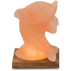himalaya salt dreams zoutkristal-tafellamp dolfijn met de hand gemaakt van zoutkristal - iedere steen uniek, h: ca.15 cm (1 stuk) oranje