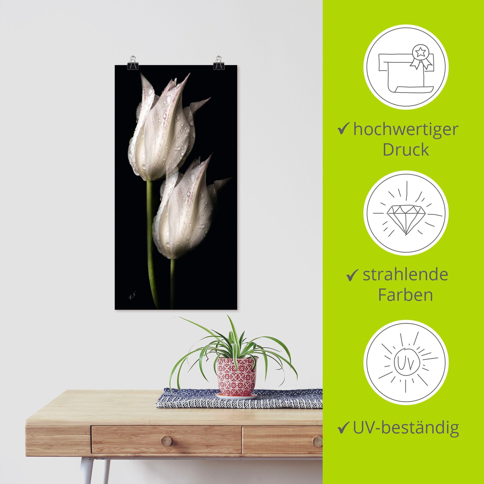 Artland Artprint Witte tulpen in de nacht als artprint van aluminium, artprint voor buiten, artprint op linnen, poster, muursticker