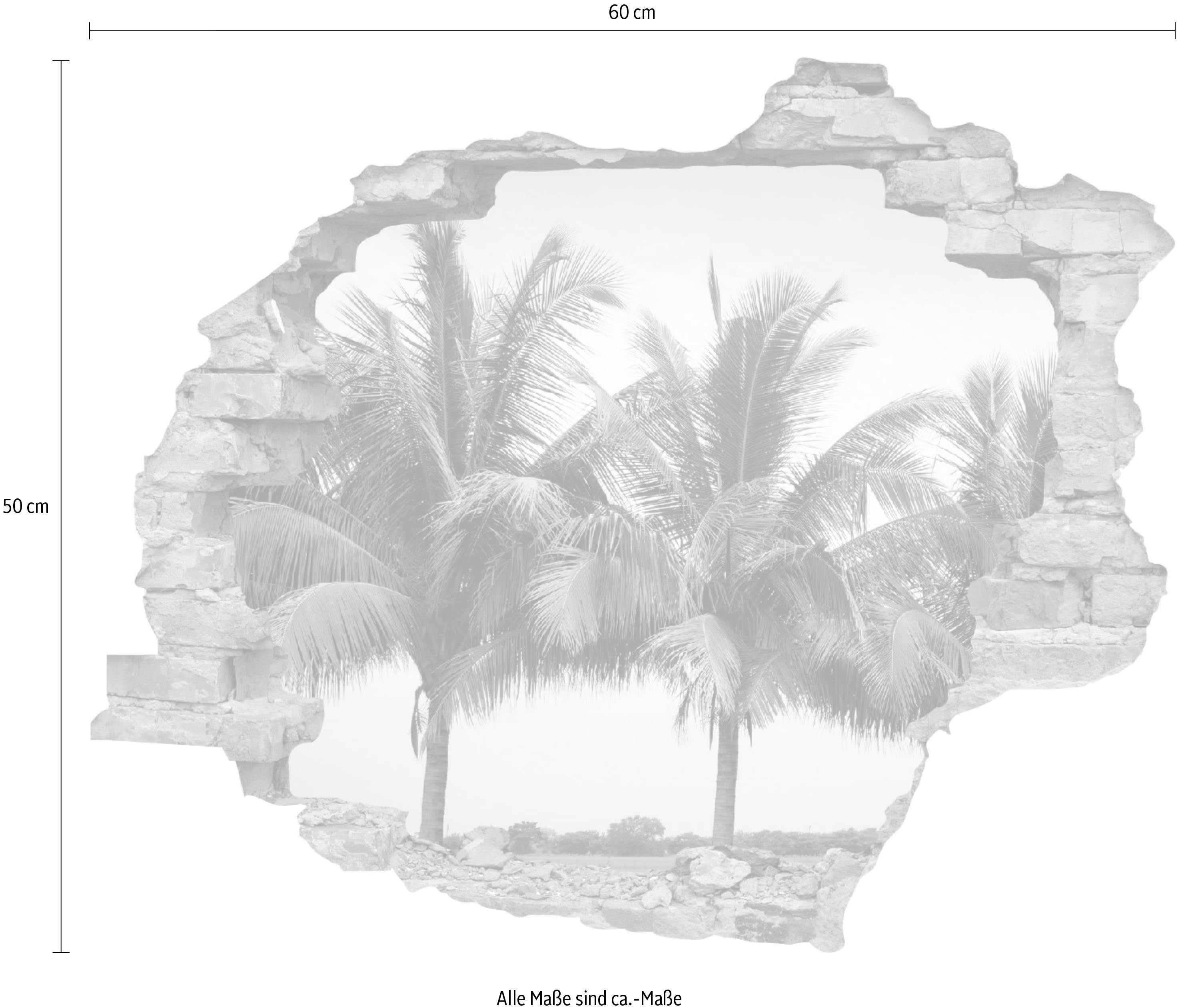 queence Wandfolie Palmen Muursticker, muurdecoratie, zelfklevend, 3D, muurdurchbraak (1 stuk)