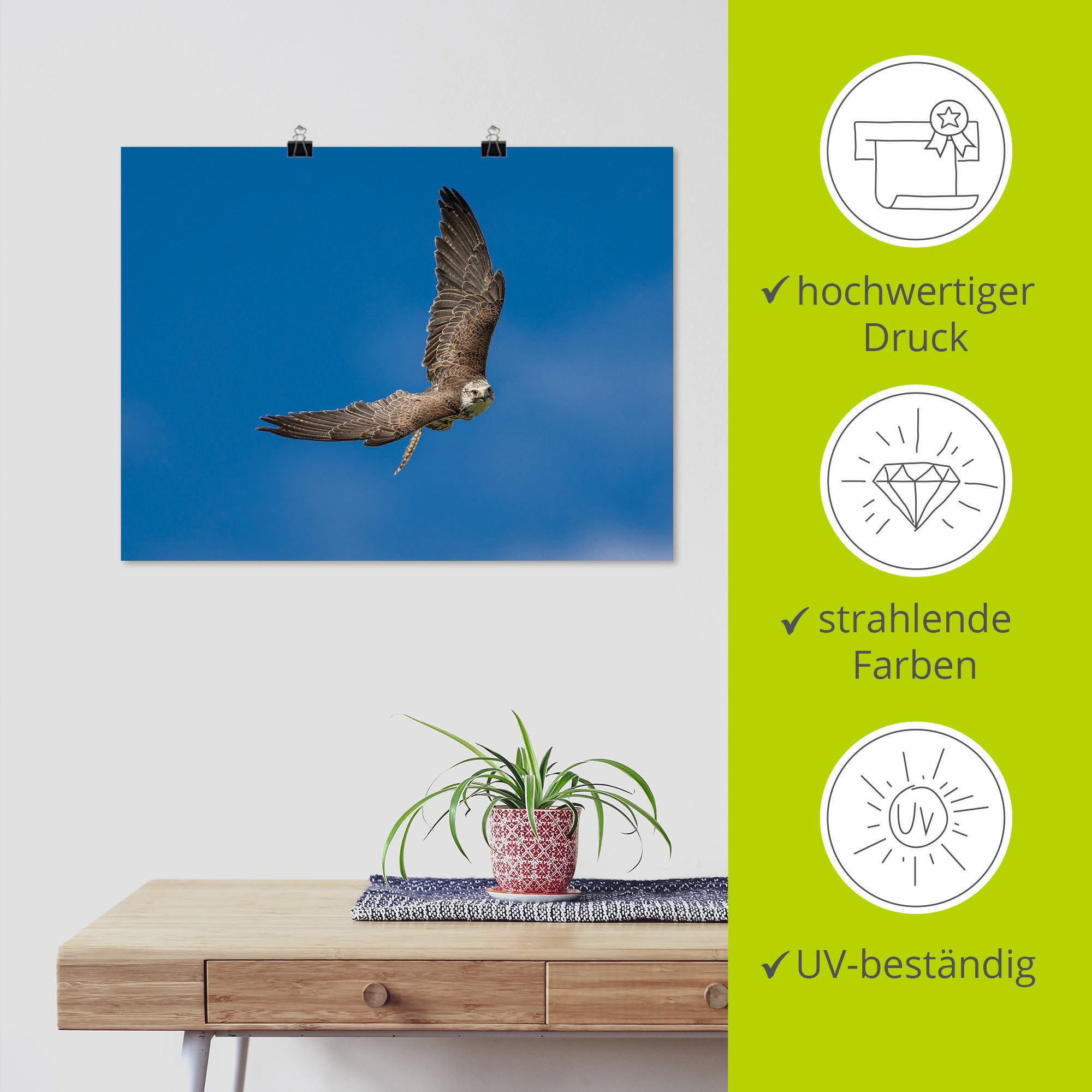 Artland Artprint De valk als artprint op linnen, poster in verschillende formaten maten
