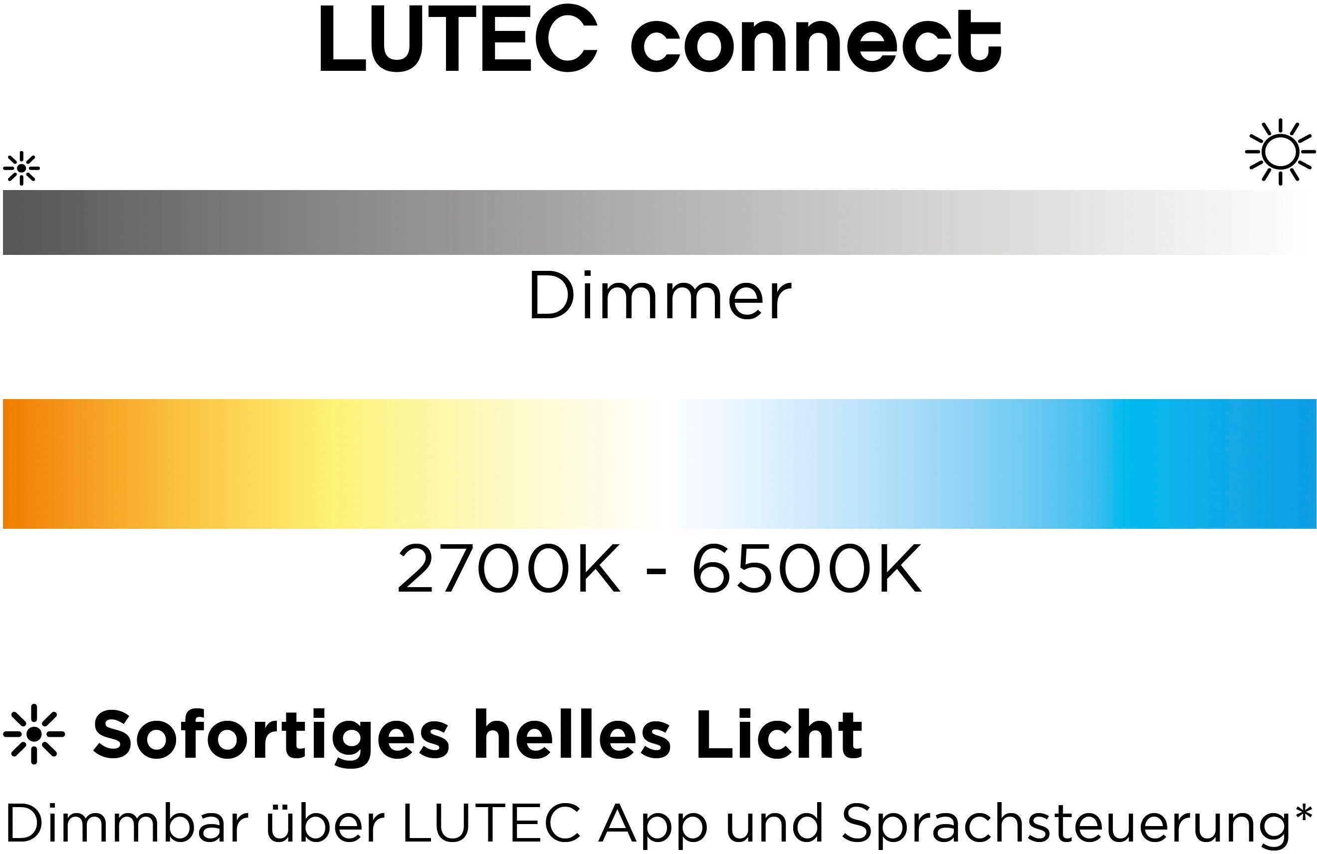 LUTEC Slimme ledlamp Cuba Smart-Home camera lamp (1 stuk)