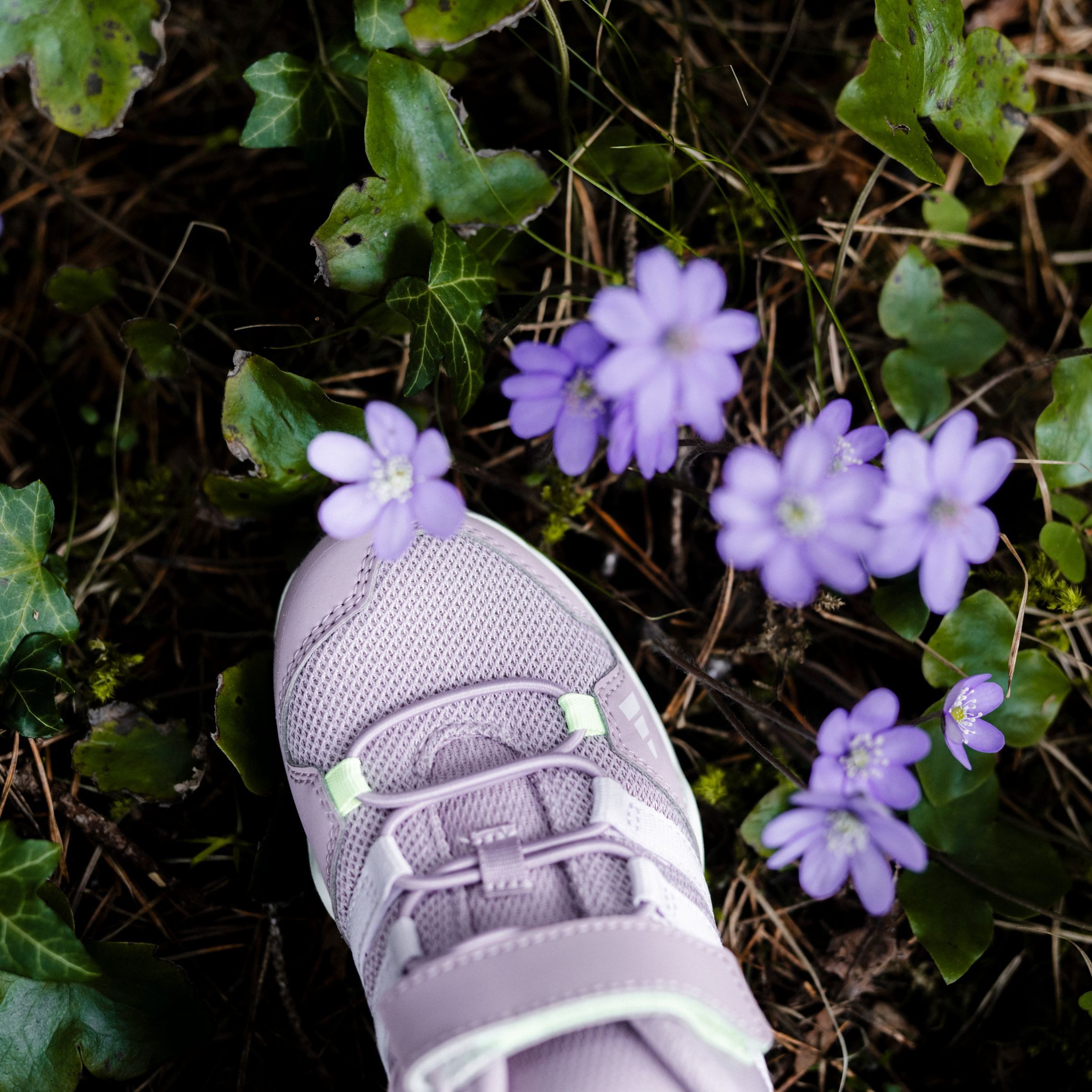 adidas TERREX Wandelschoenen TERREX AX2R HOOK-AND-LOOP