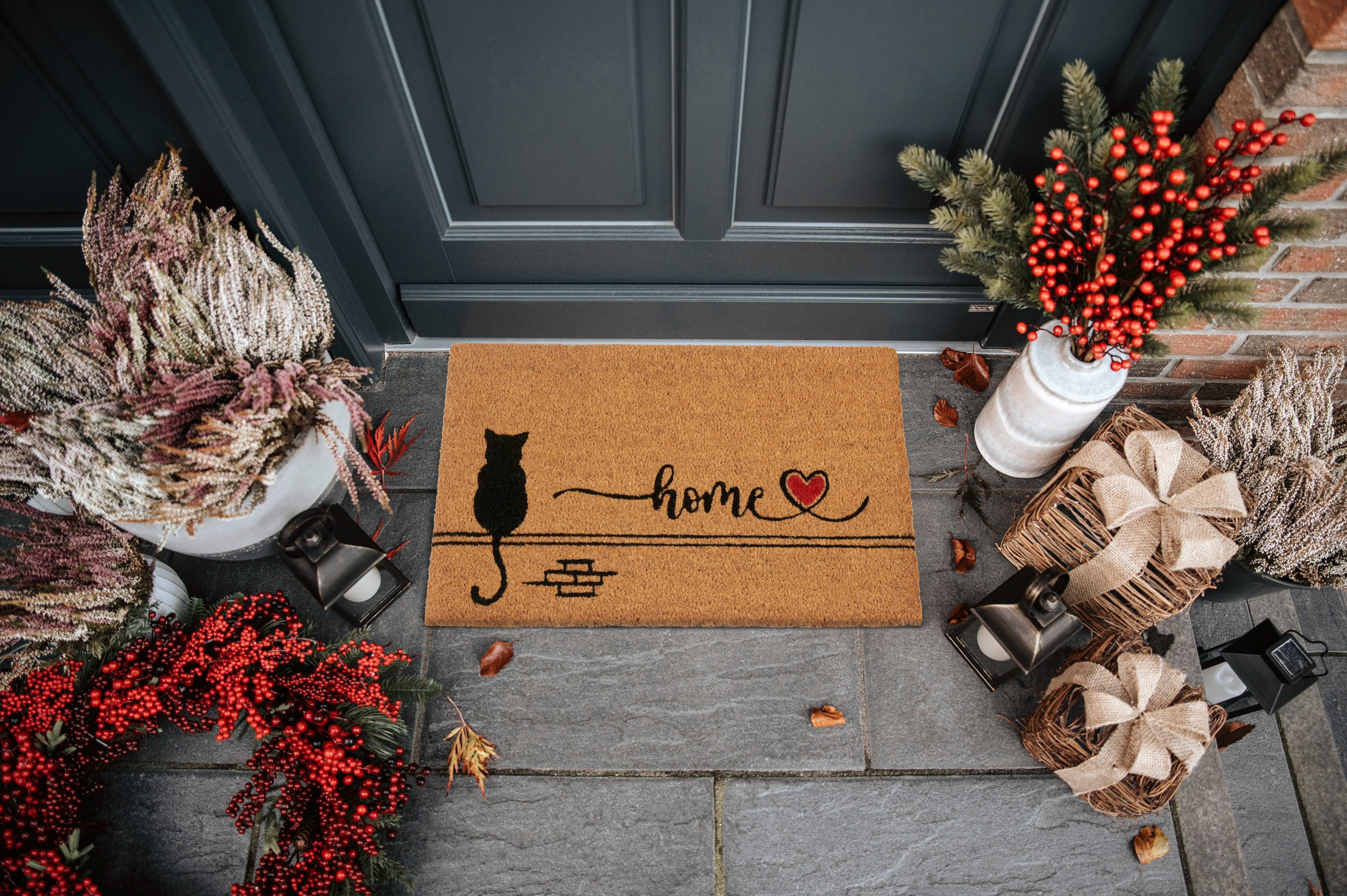 HANSE Home Mat Kokos Cat Home, deurmat Vuilafstotende mat, antislip, buiten, binnen, buiten, kokosmat, gang