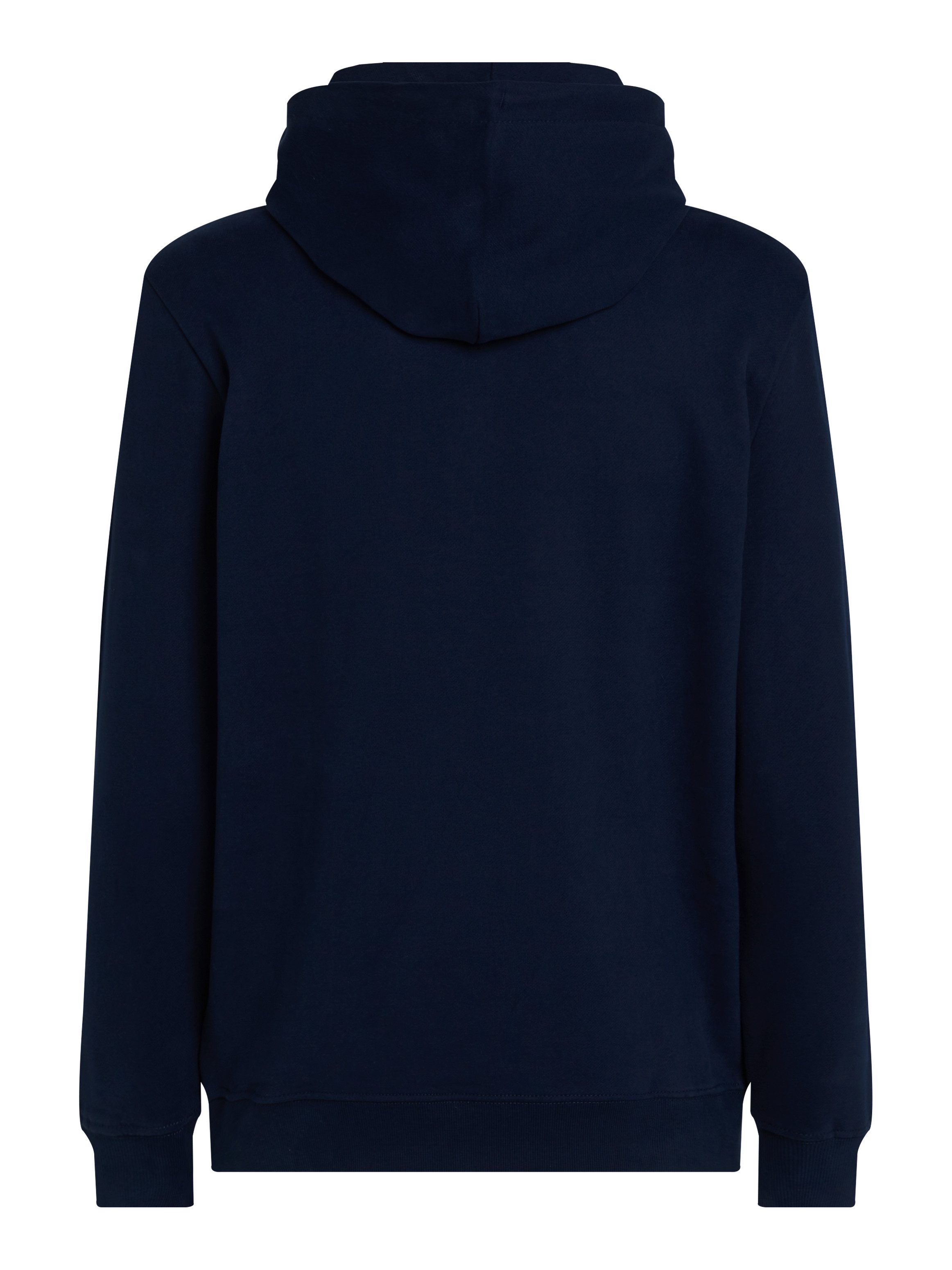 Tommy Jeans Plus Hoodie TJM REG ENTRY GRAPHIC HOODIE EXT