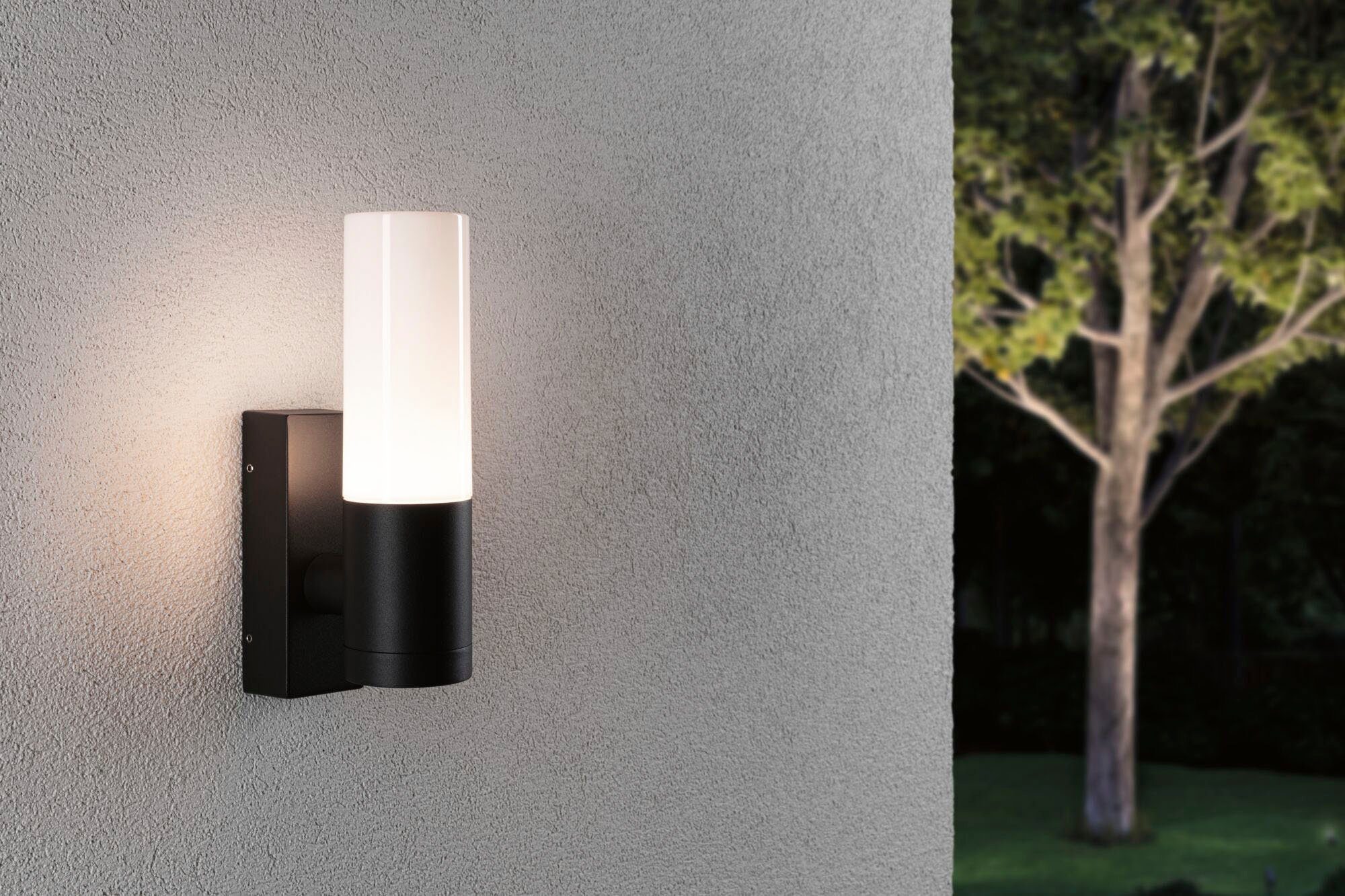 Paulmann Led-wandlamp voor buiten Buiten 230V Tralia E27 IP44 Antraciet (1 stuk)